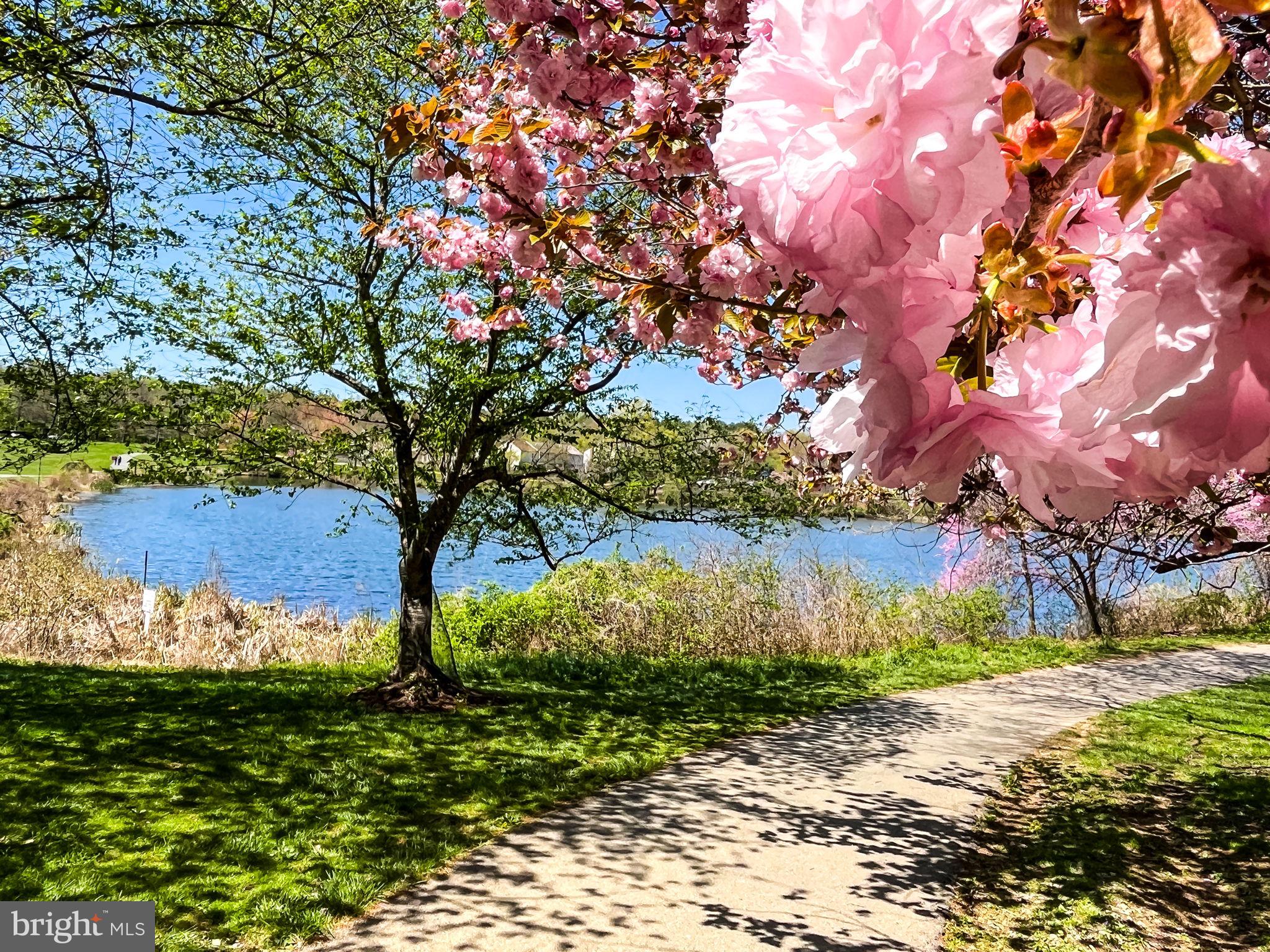 GUNNERS LAKE VILLAGE - Residential