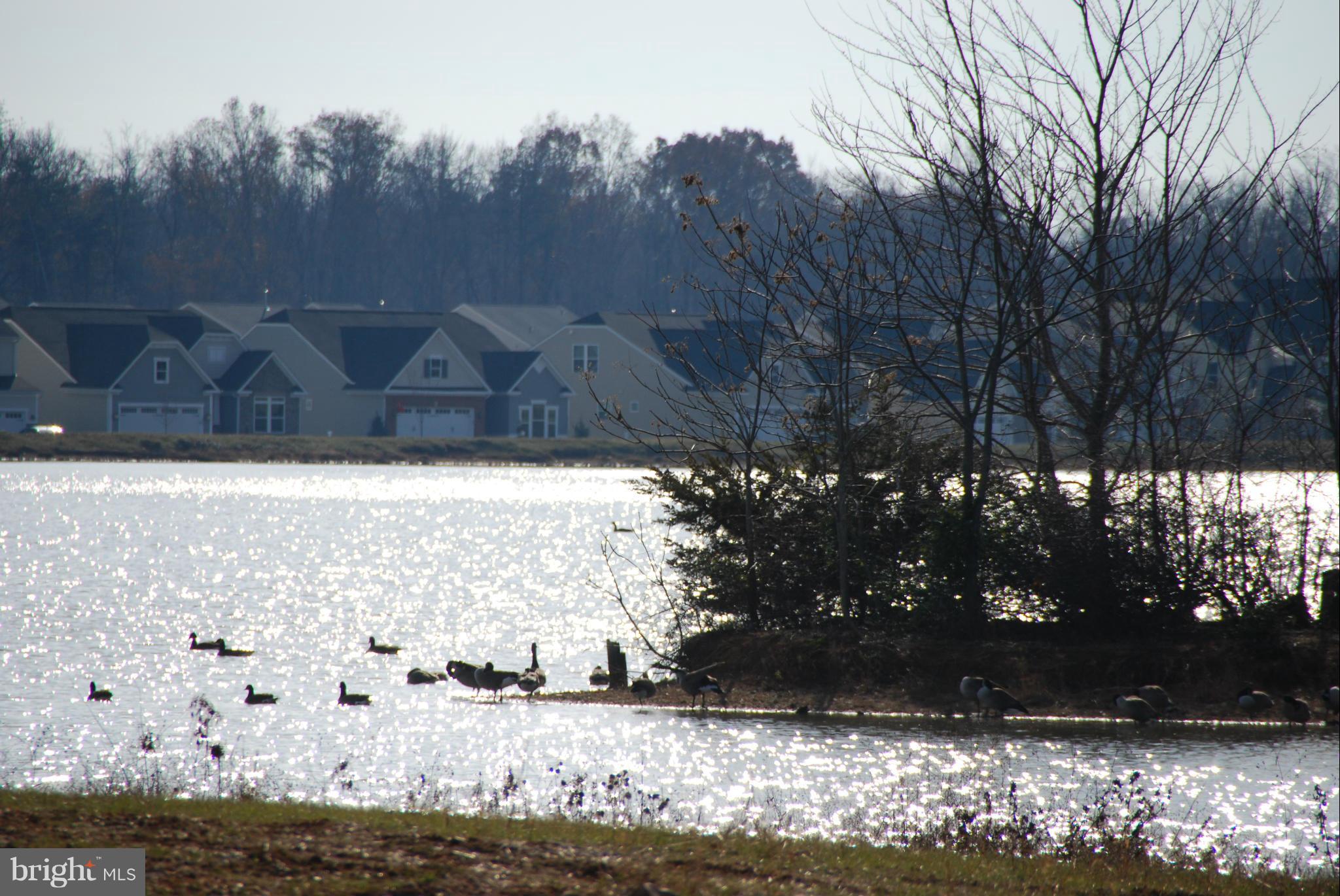 BROKEN HILLS - Residential