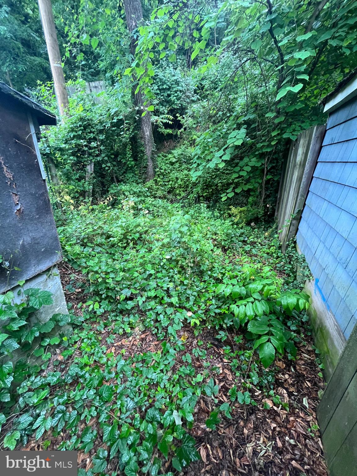 HAMPDEN HISTORIC DISTRICT - Residential