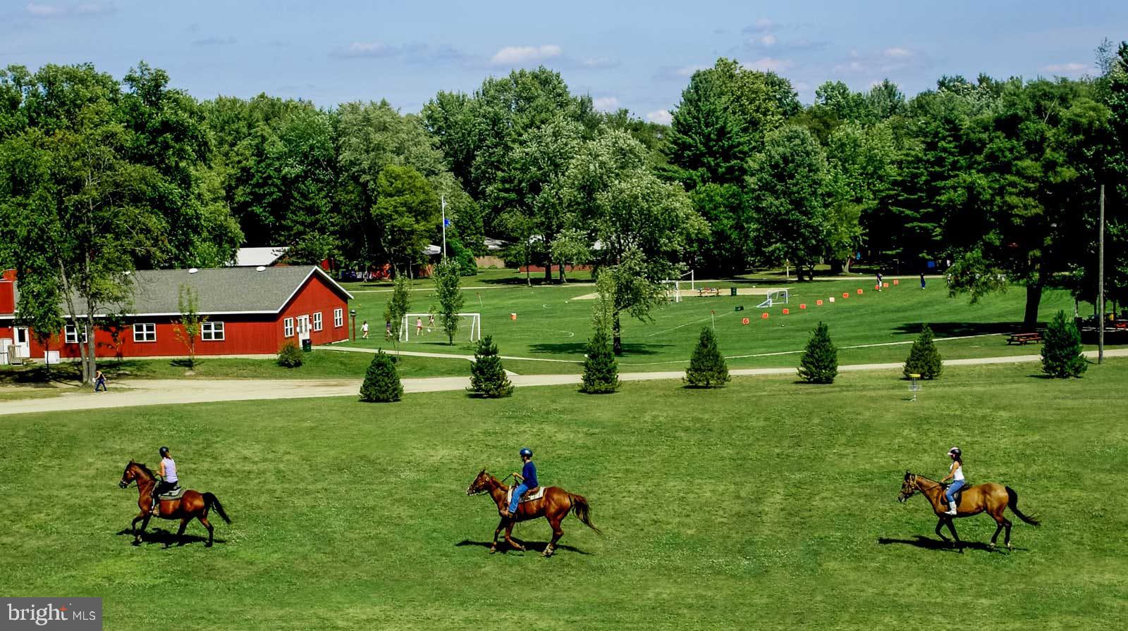 LAKE OF THE WOODS - Residential
