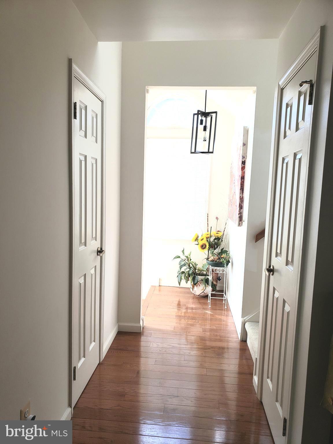 1132 CHANTICLEER