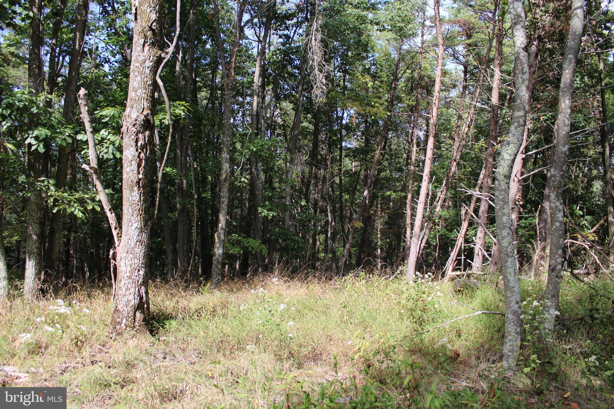 BLUFFS ON THE POTOMAC - Land