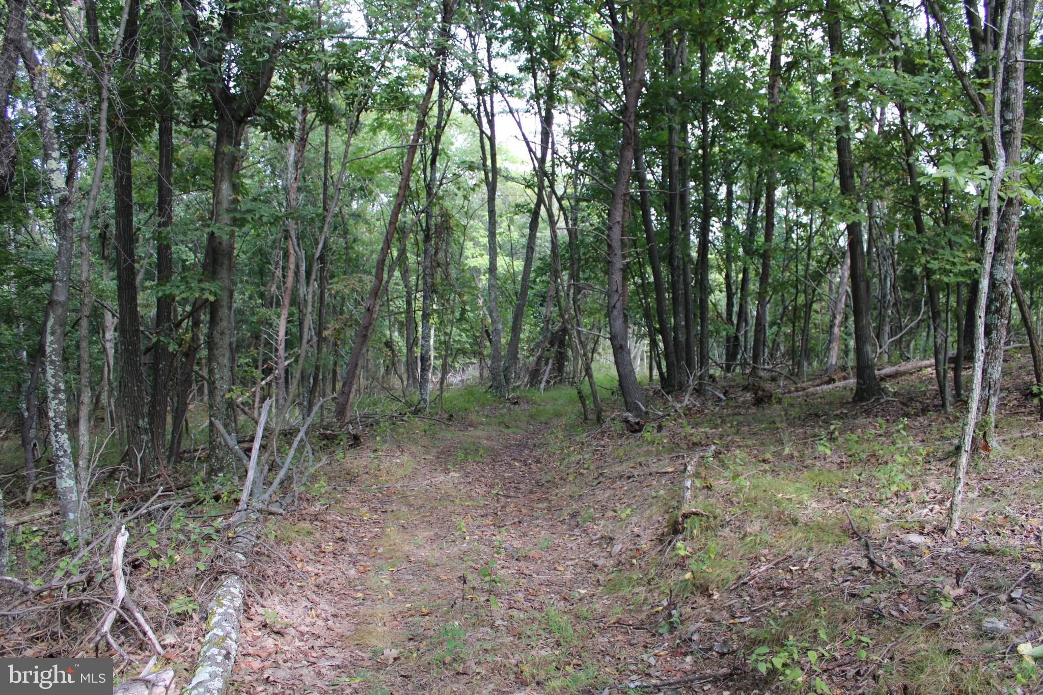 BLUFFS ON THE POTOMAC - Land