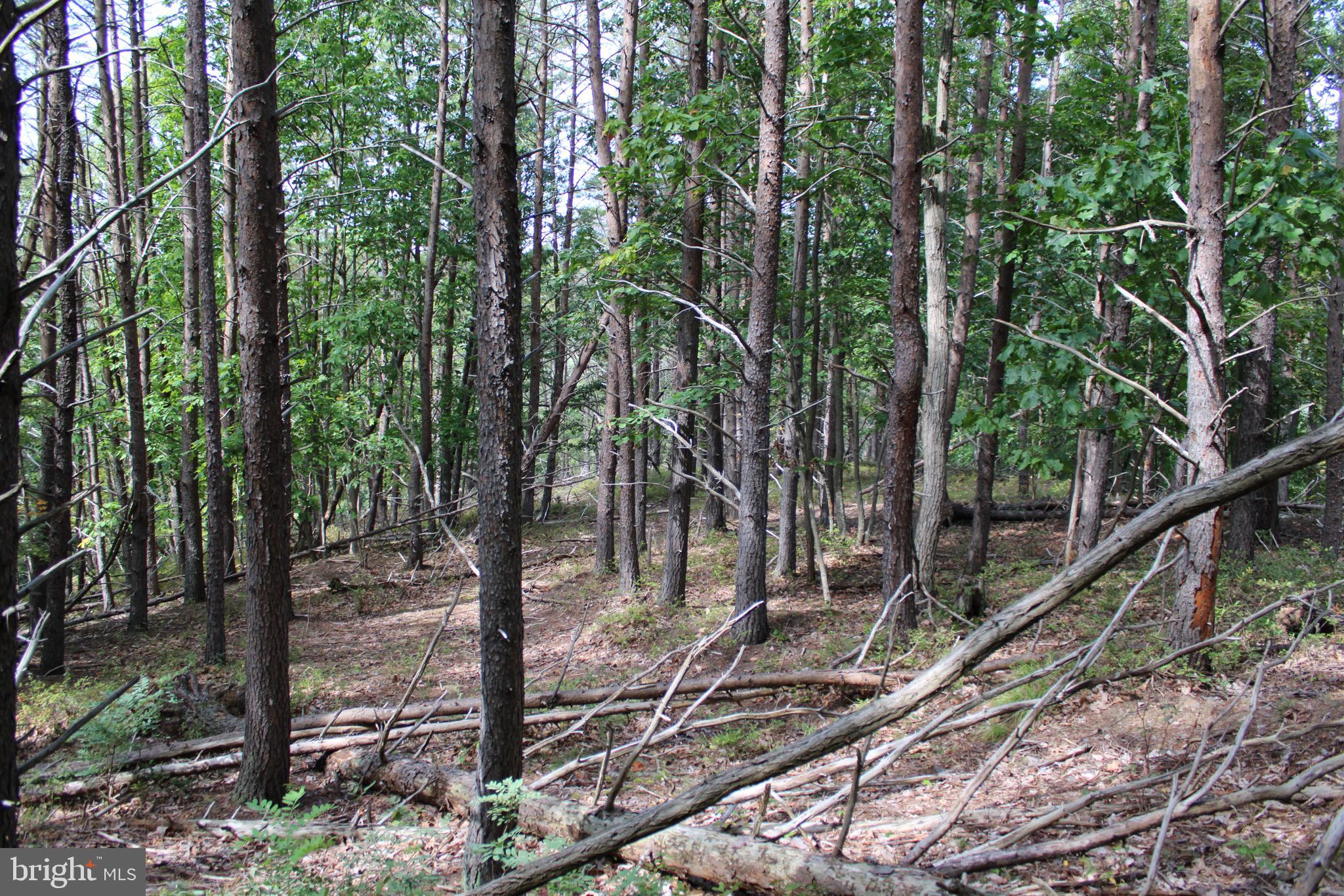 BLUFFS ON THE POTOMAC - Land
