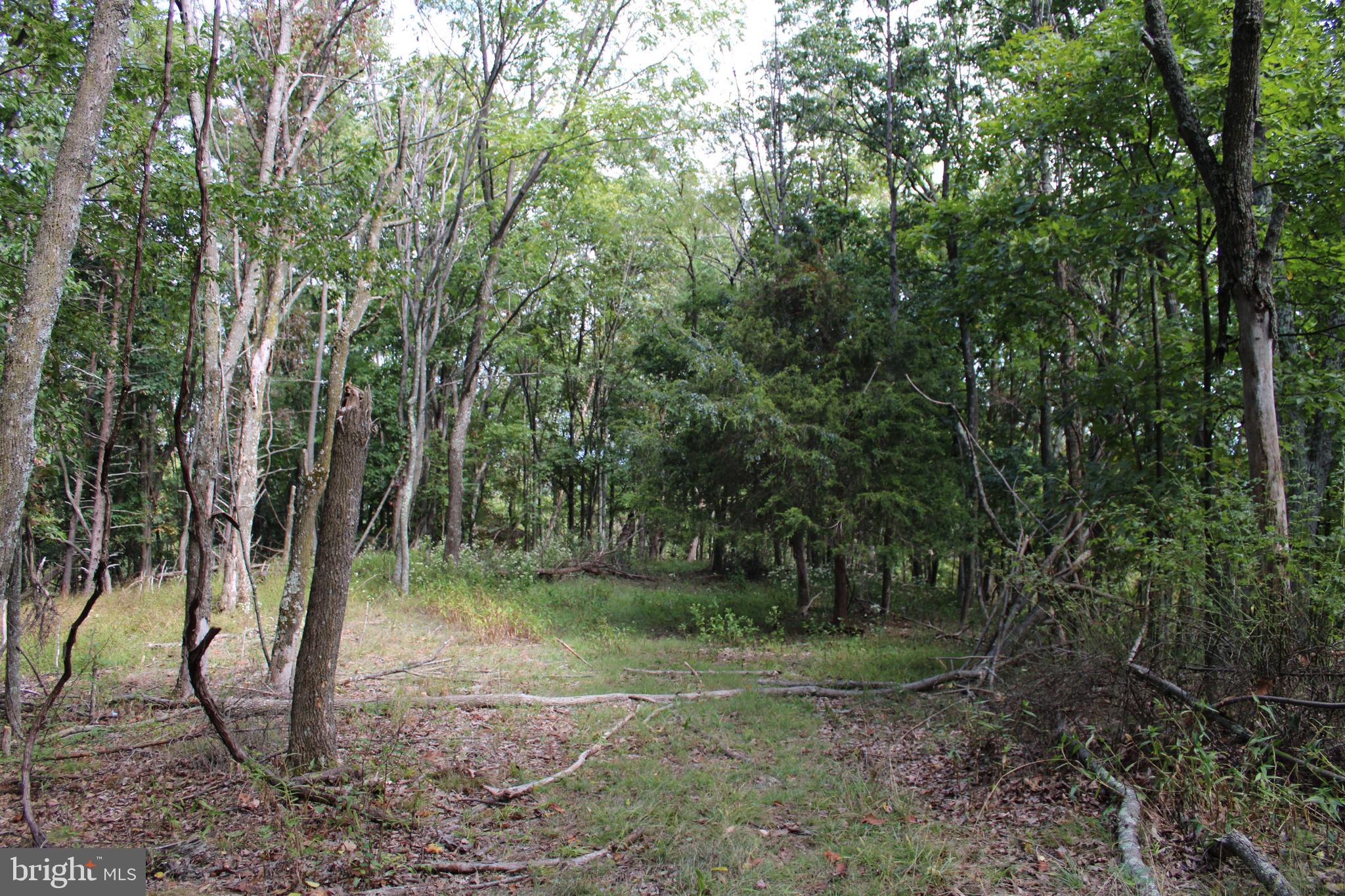 BLUFFS ON THE POTOMAC - Land