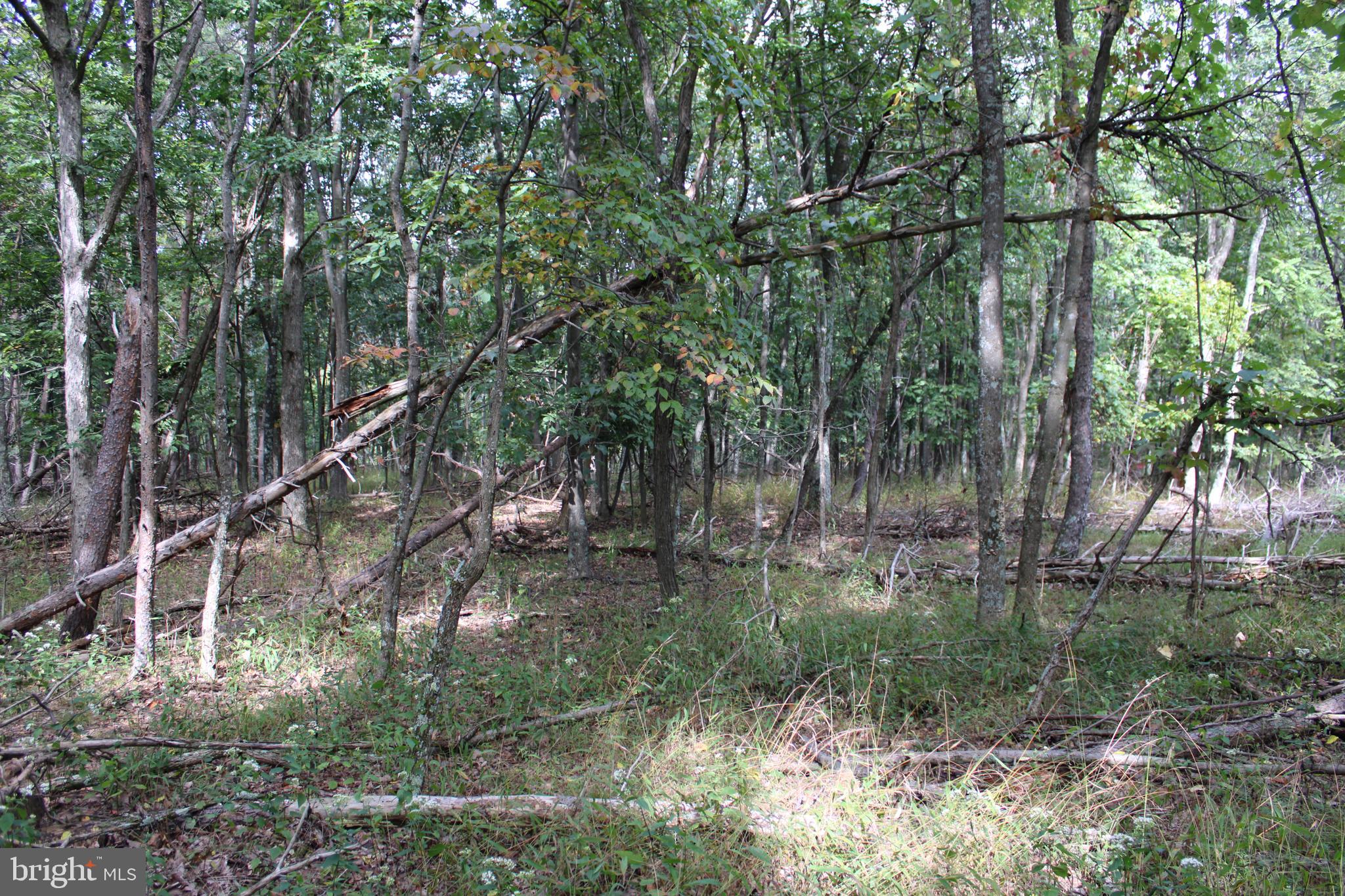 BLUFFS ON THE POTOMAC - Land