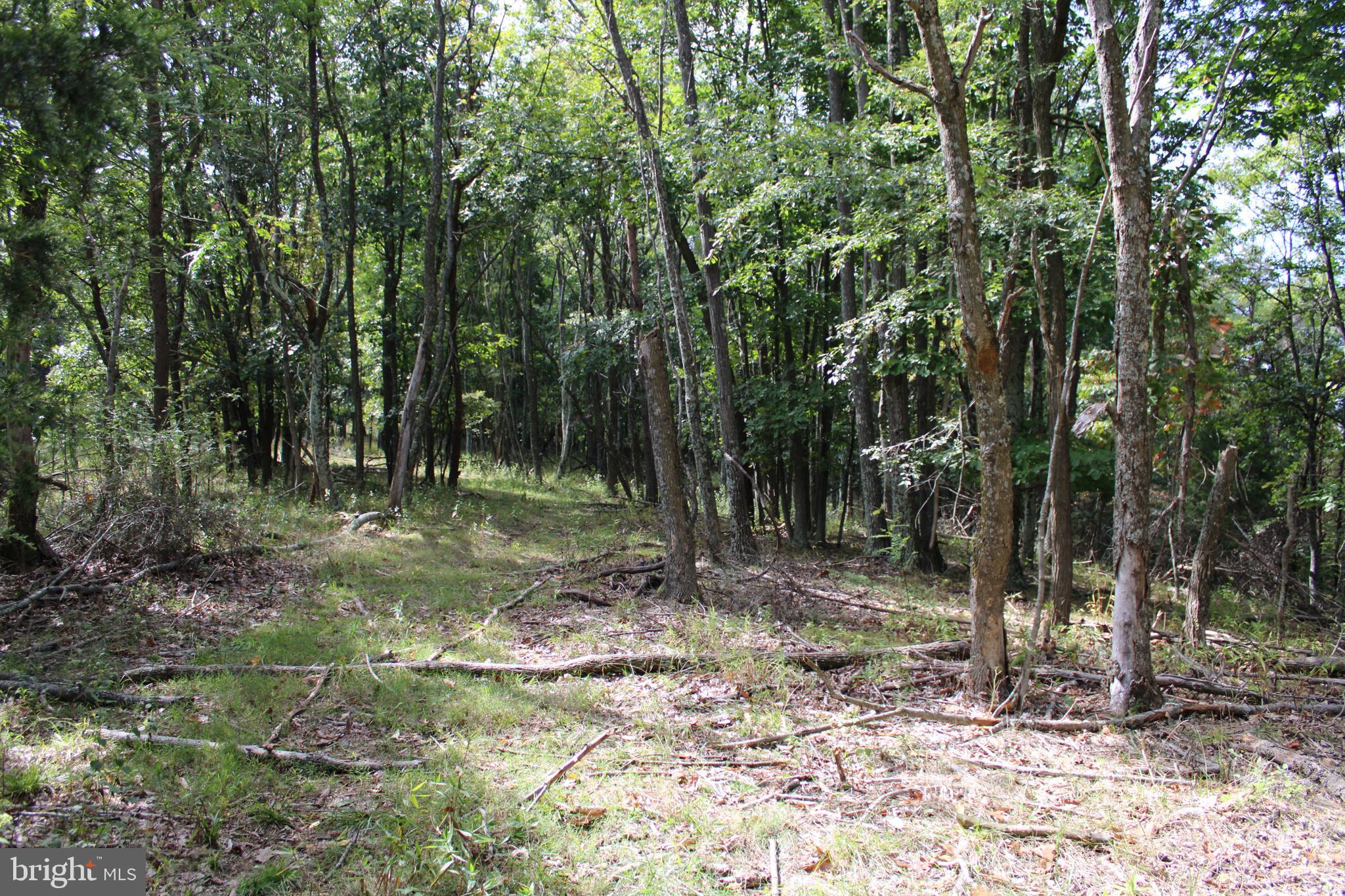BLUFFS ON THE POTOMAC - Land