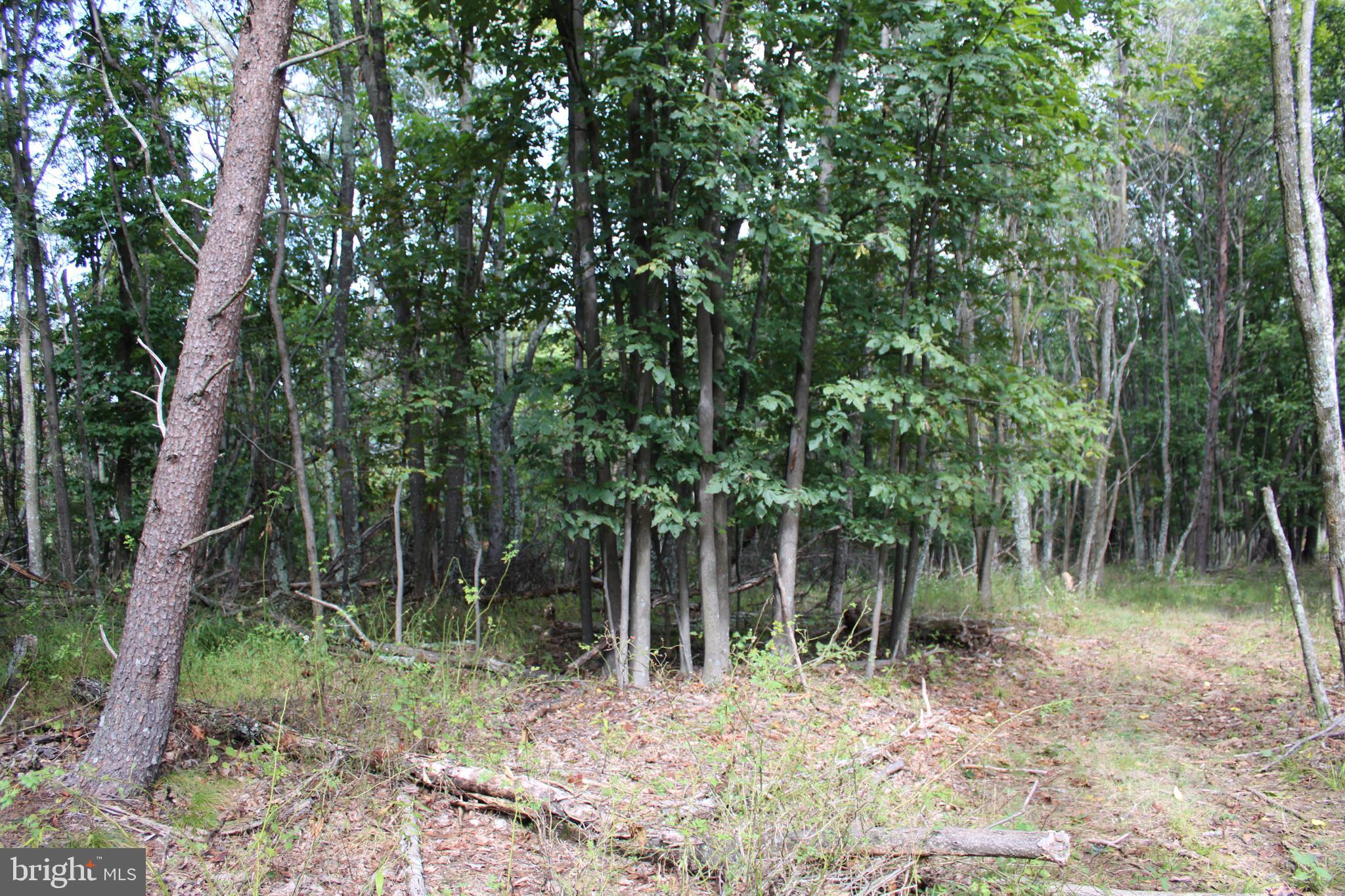 BLUFFS ON THE POTOMAC - Land