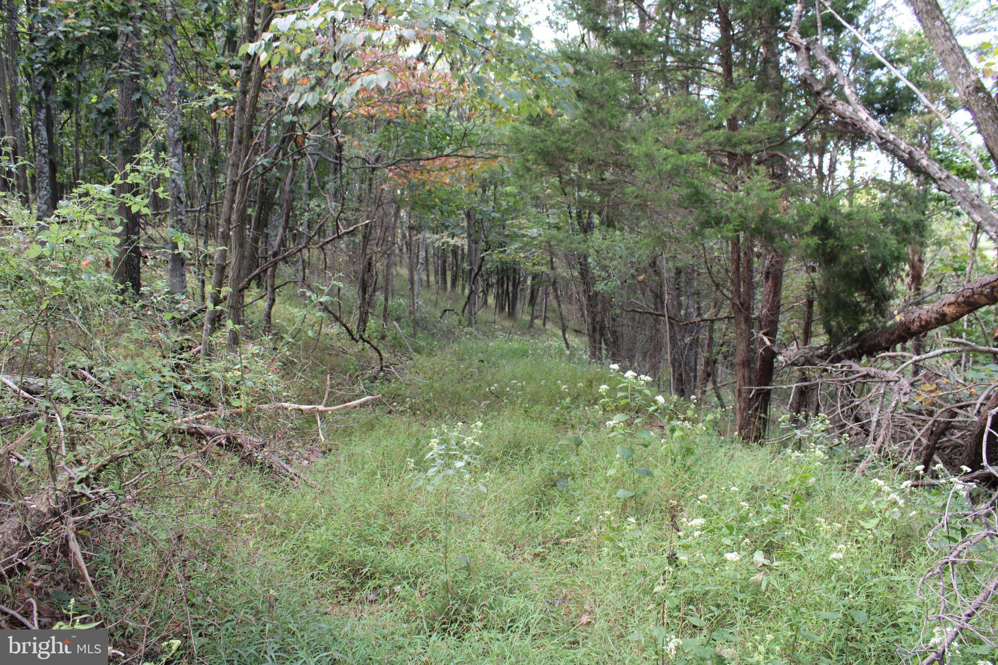 BLUFFS ON THE POTOMAC - Land