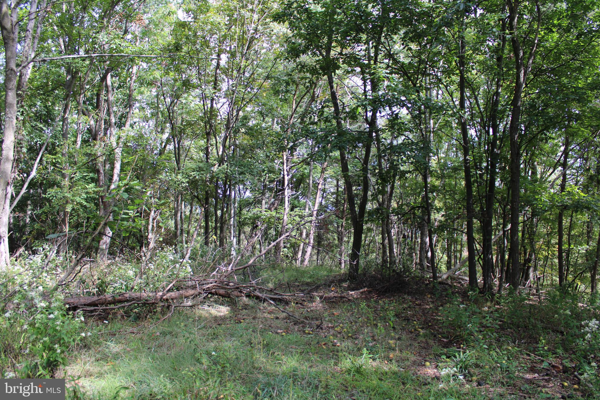 BLUFFS ON THE POTOMAC - Land