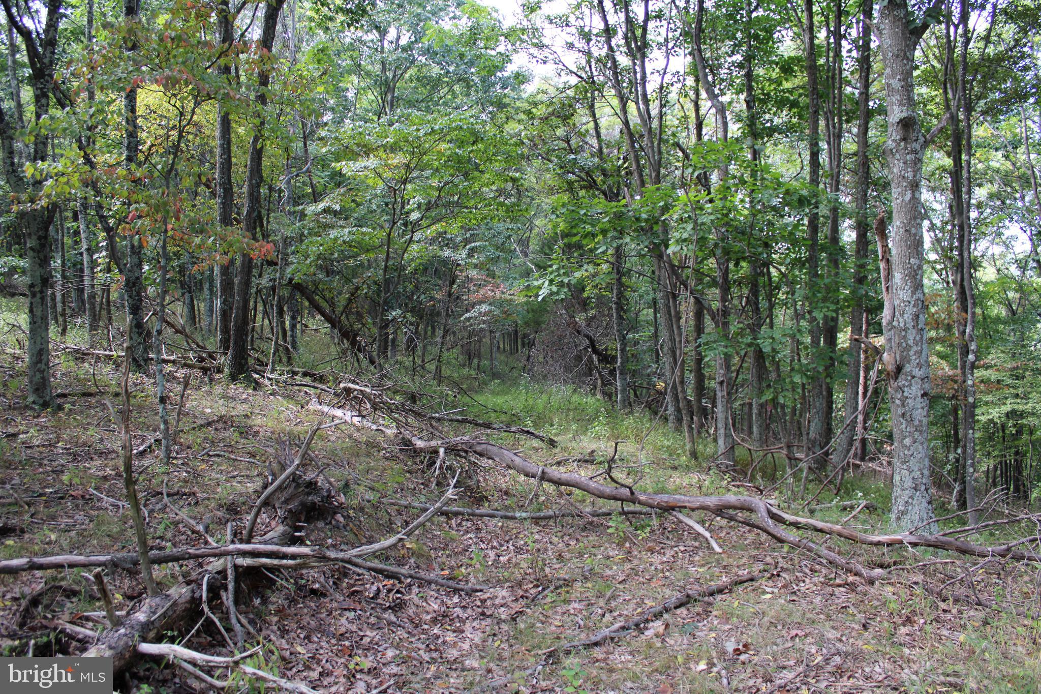 BLUFFS ON THE POTOMAC - Land