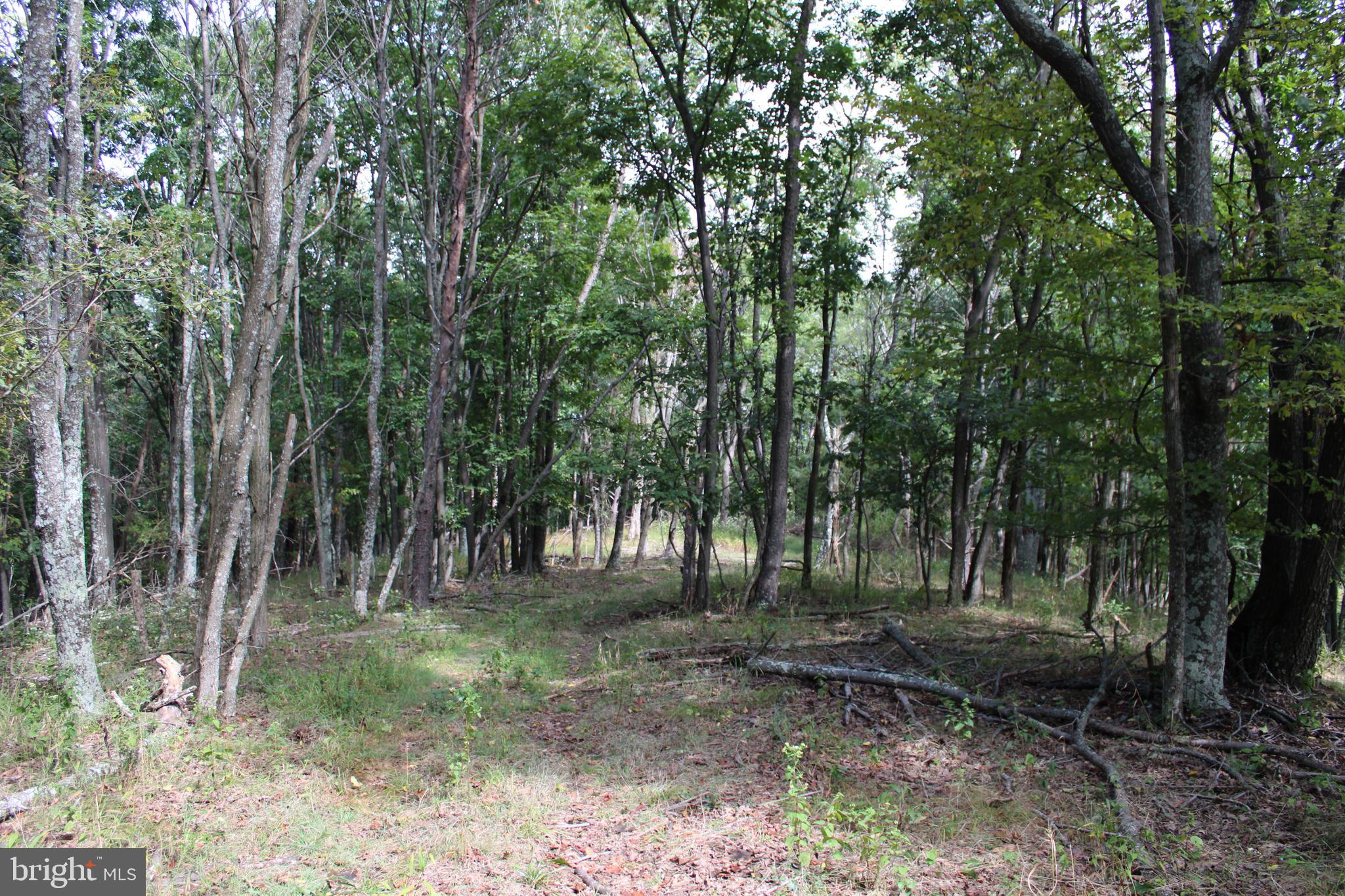 BLUFFS ON THE POTOMAC - Land