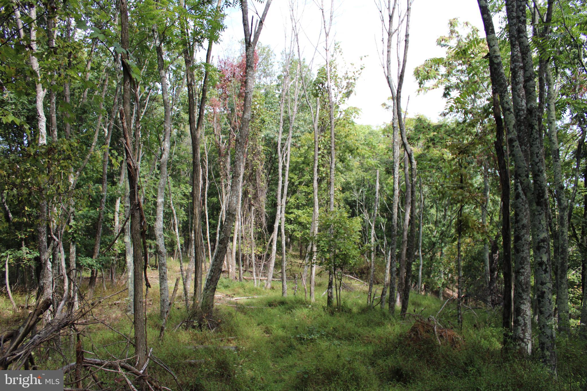 BLUFFS ON THE POTOMAC - Land