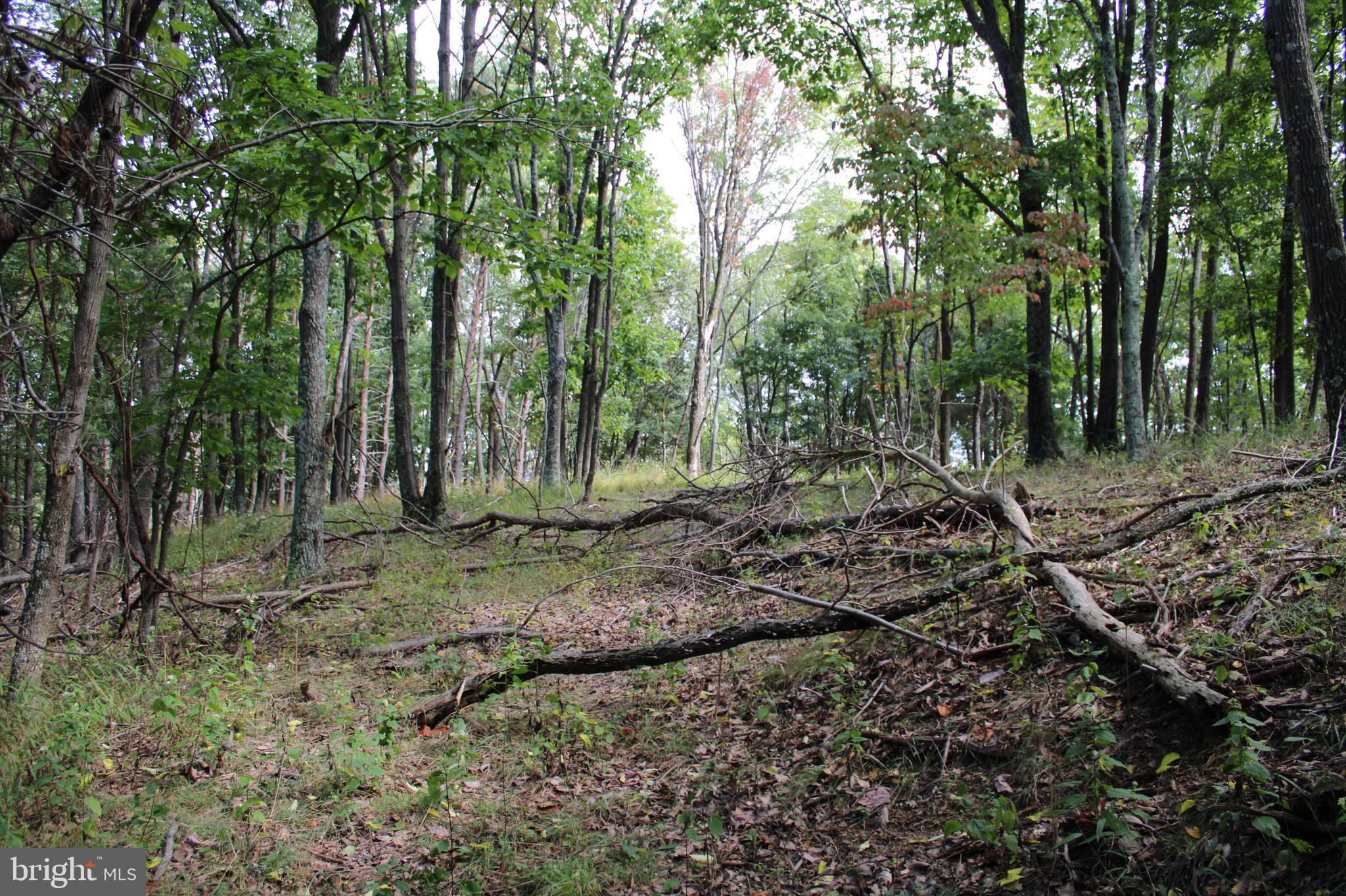 BLUFFS ON THE POTOMAC - Land