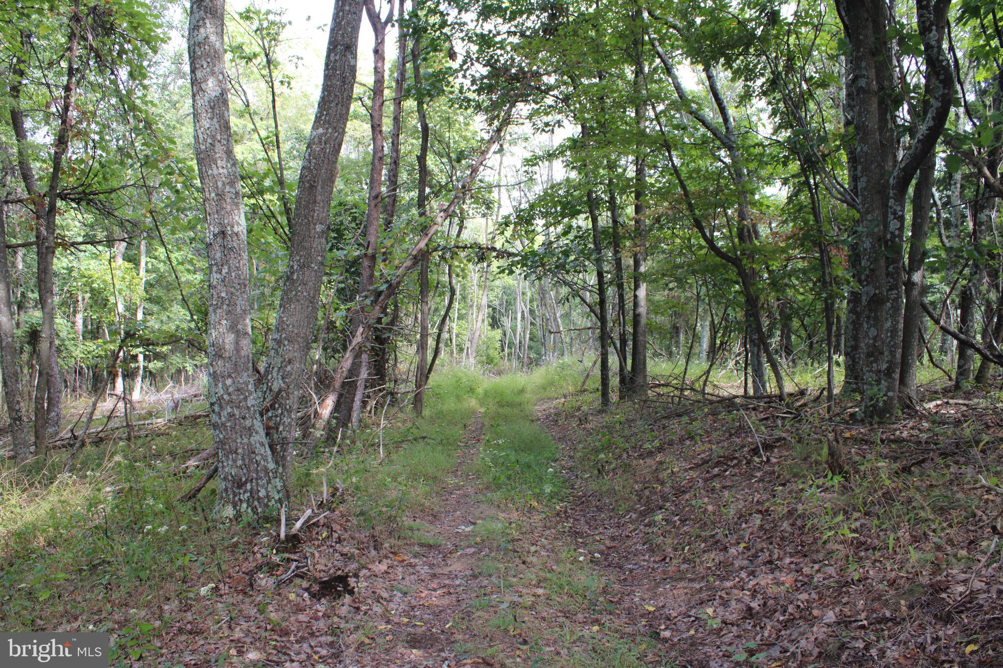BLUFFS ON THE POTOMAC - Land