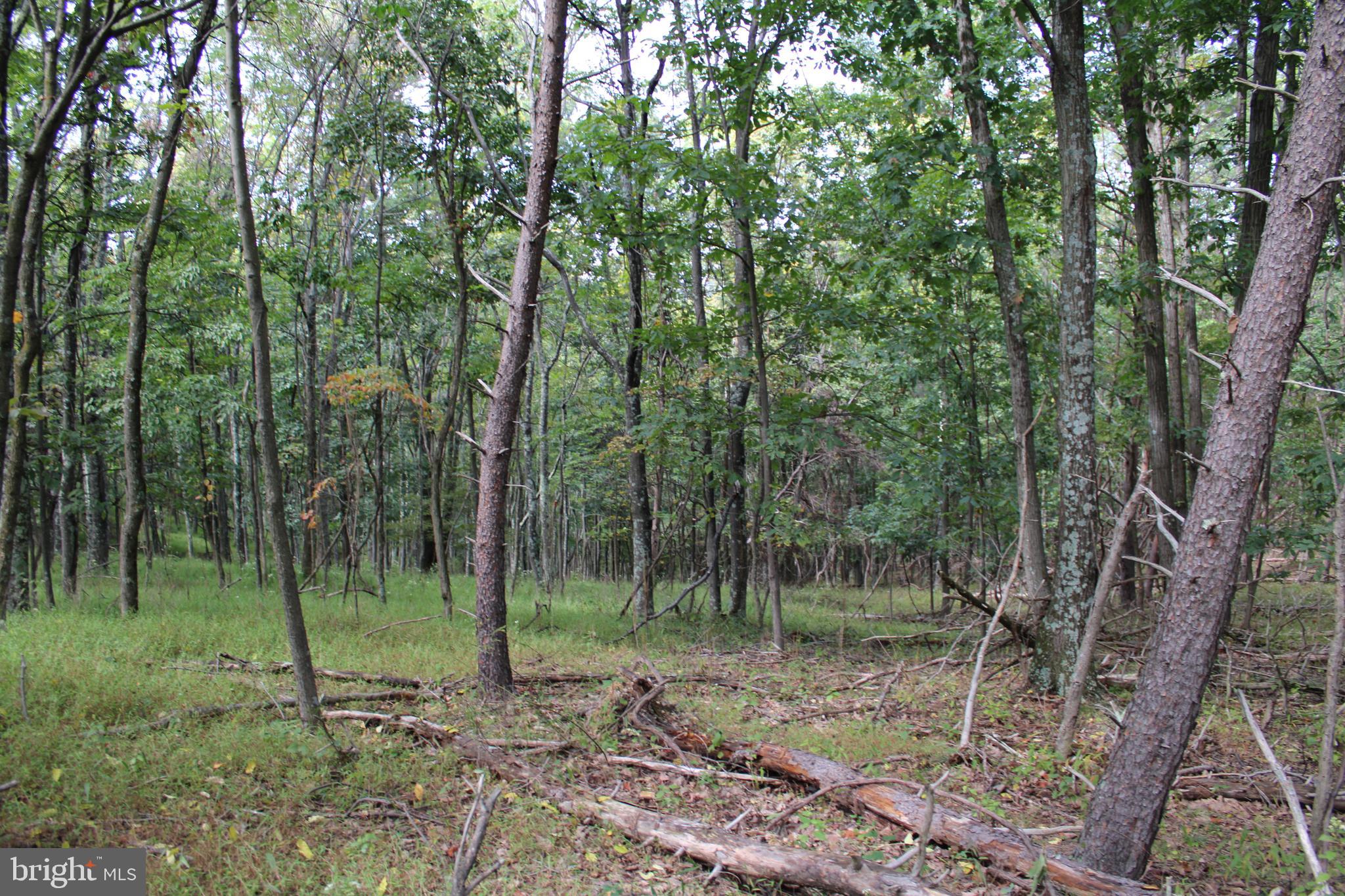 BLUFFS ON THE POTOMAC - Land