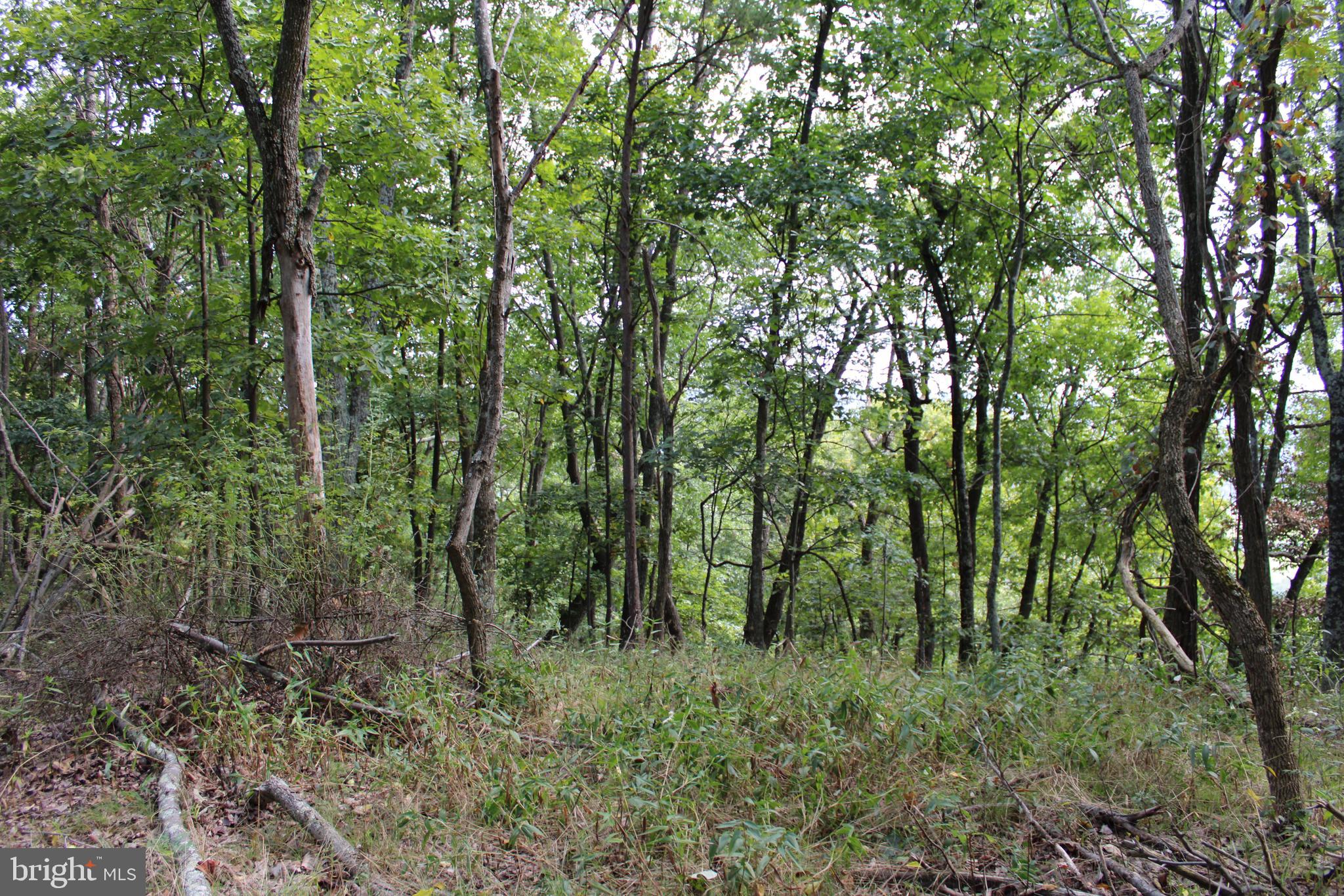 BLUFFS ON THE POTOMAC - Land