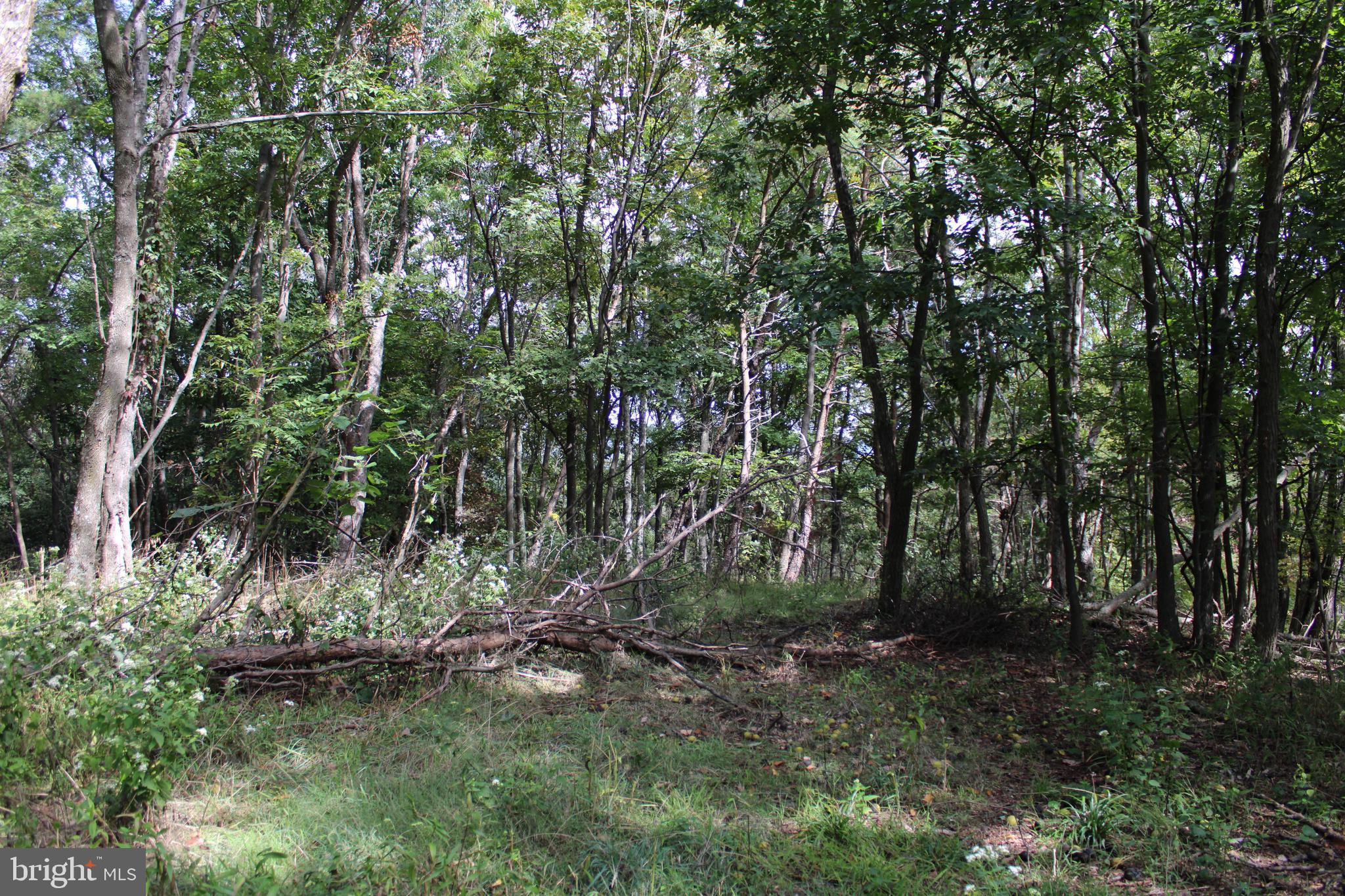 BLUFFS ON THE POTOMAC - Land