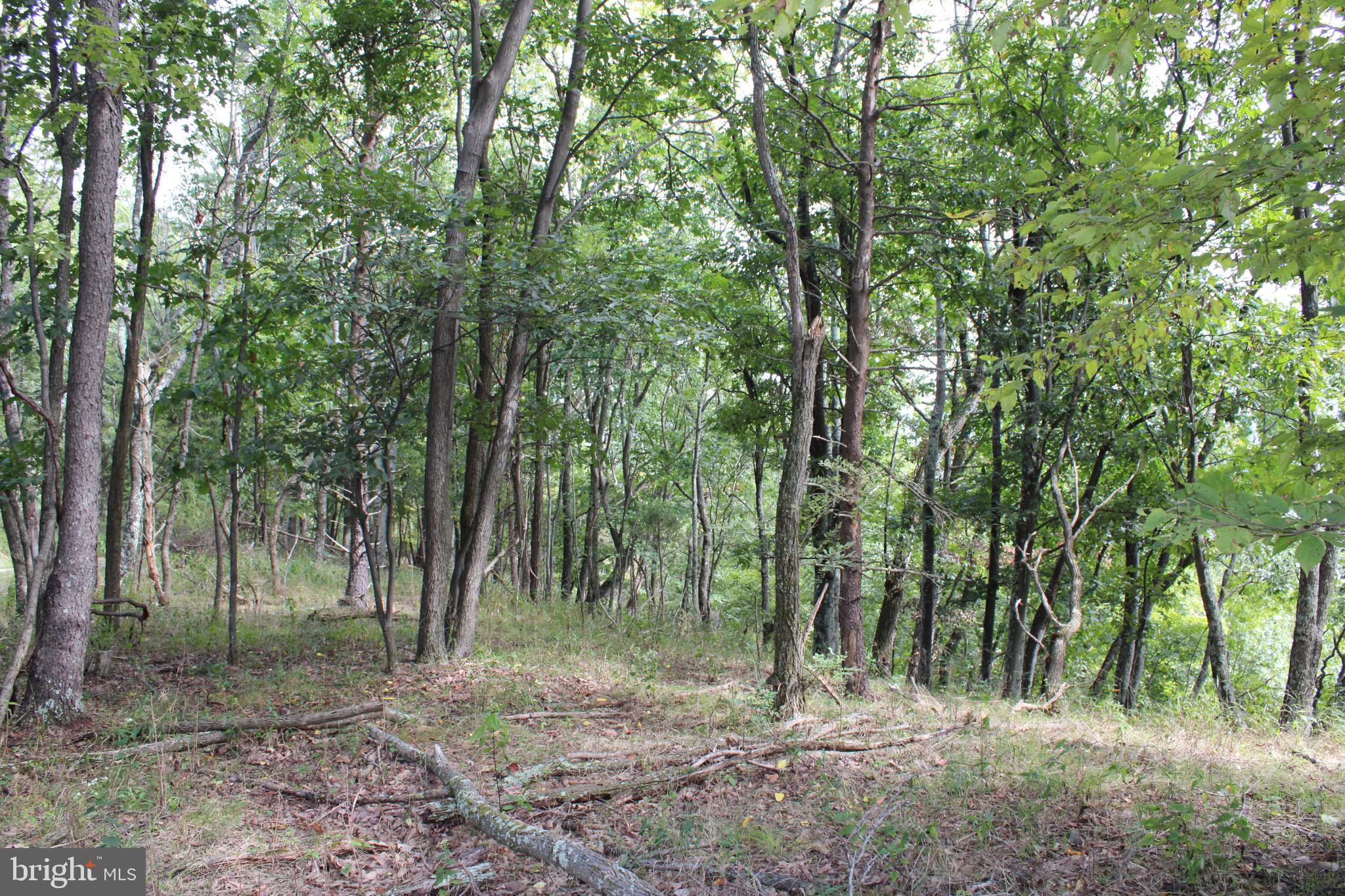 BLUFFS ON THE POTOMAC - Land