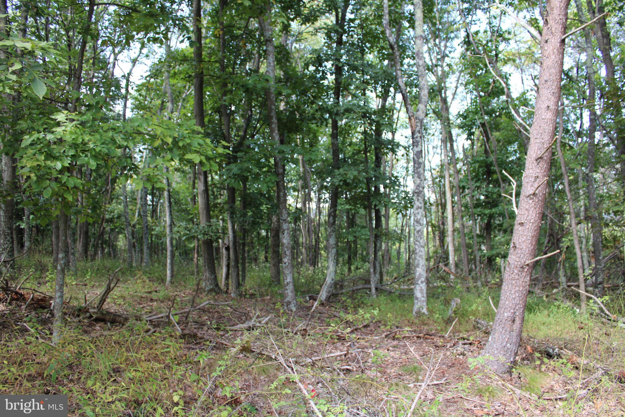 BLUFFS ON THE POTOMAC - Land