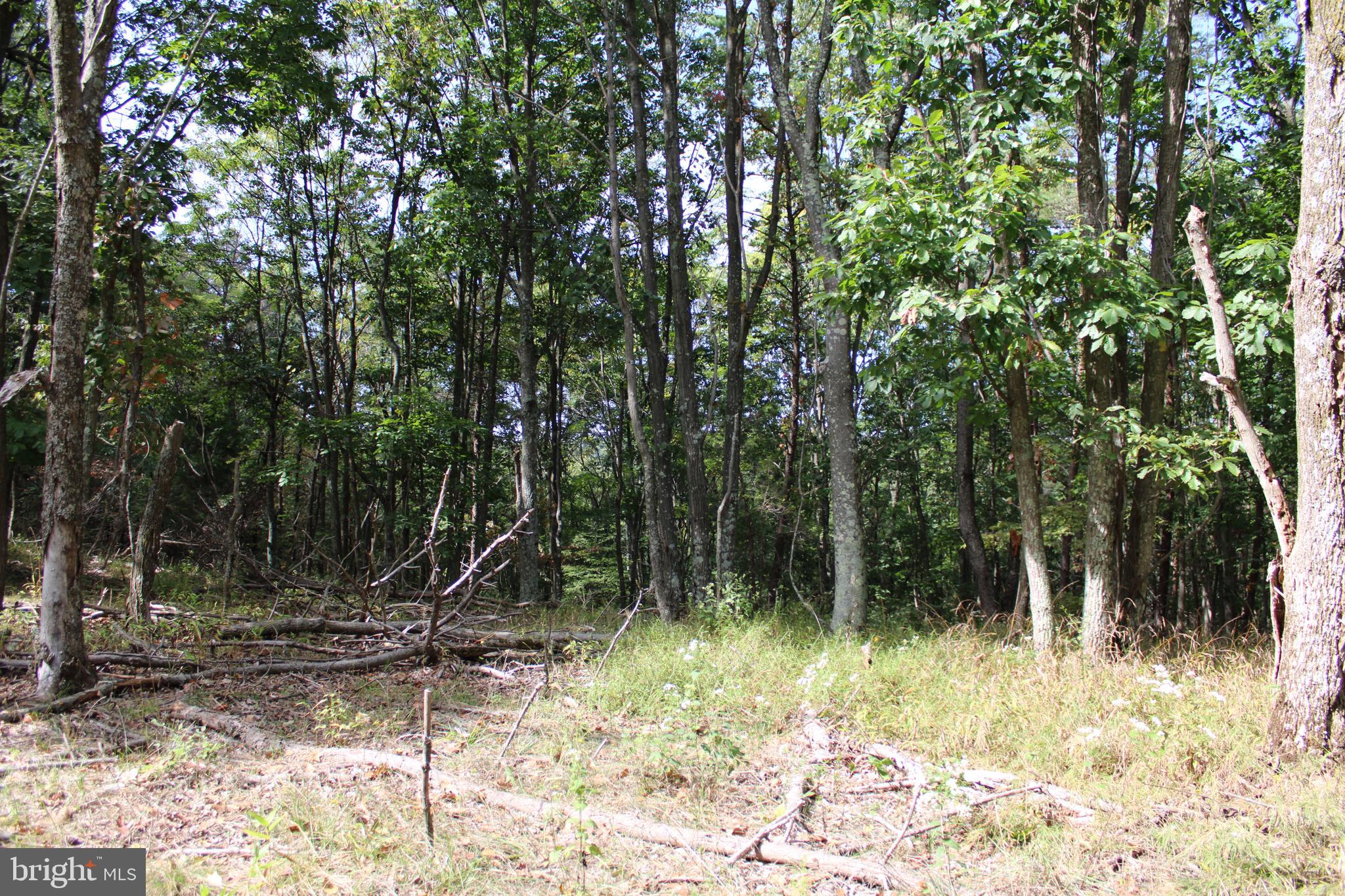 BLUFFS ON THE POTOMAC - Land