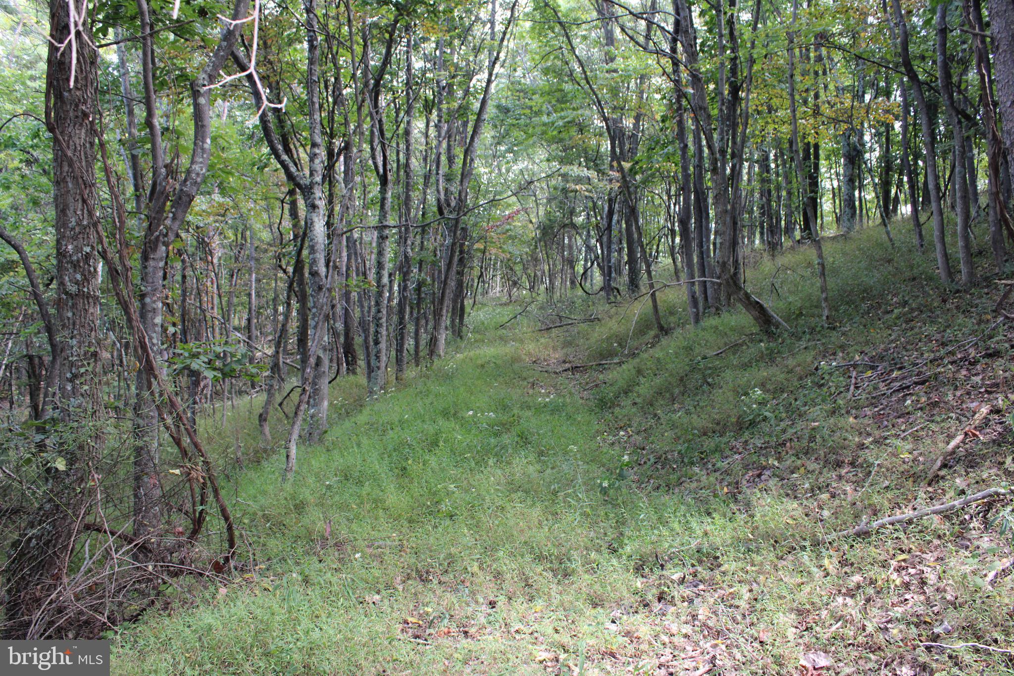 BLUFFS ON THE POTOMAC - Land