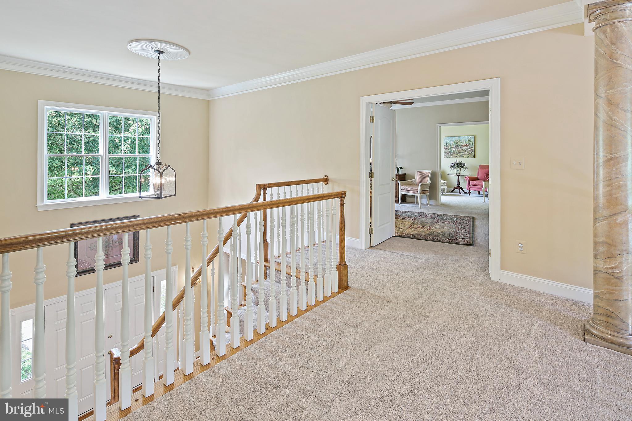 TRIADELPHIA WOODS - Residential