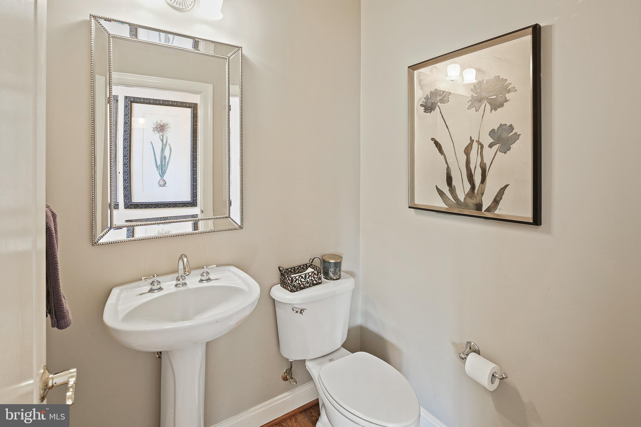 TRIADELPHIA WOODS - Residential