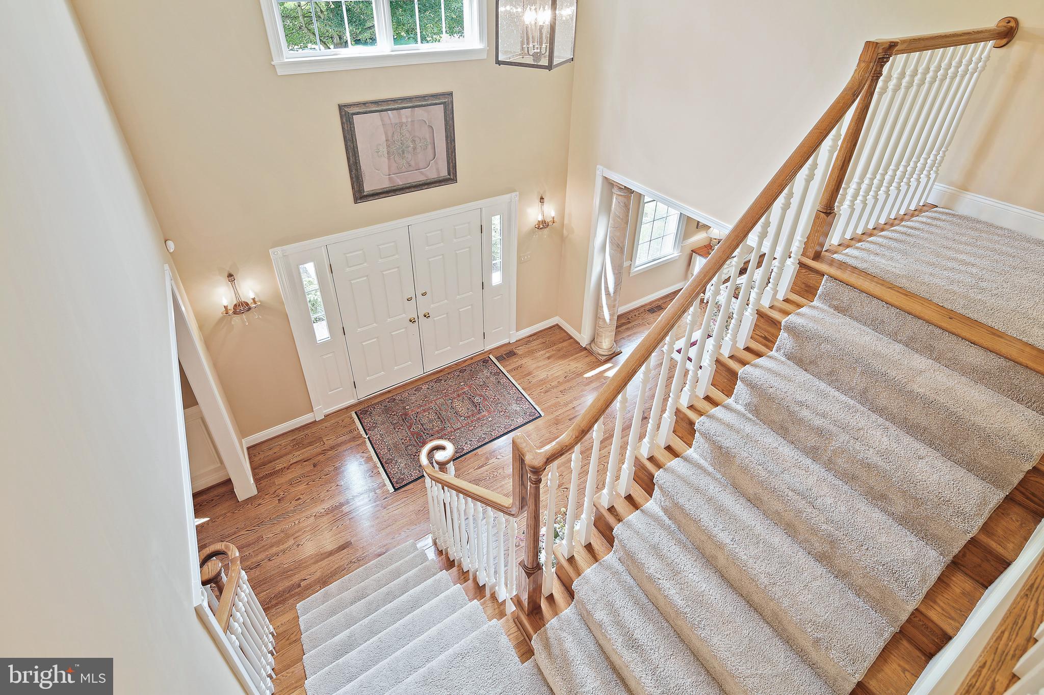 TRIADELPHIA WOODS - Residential