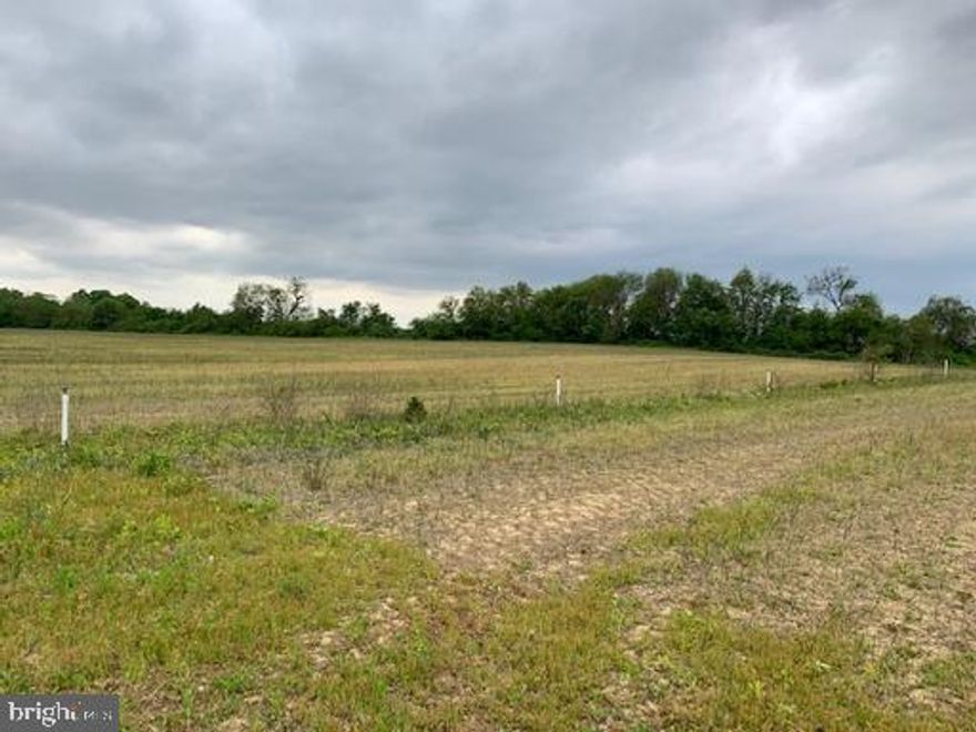 49 +/- acres for sale.  Zoning SAR.  Can be subdivided into 4 lots with remaining acreage as a 5th lot.  Half of the property is currently farmed.  Property qualifies for Farm Credit loan.