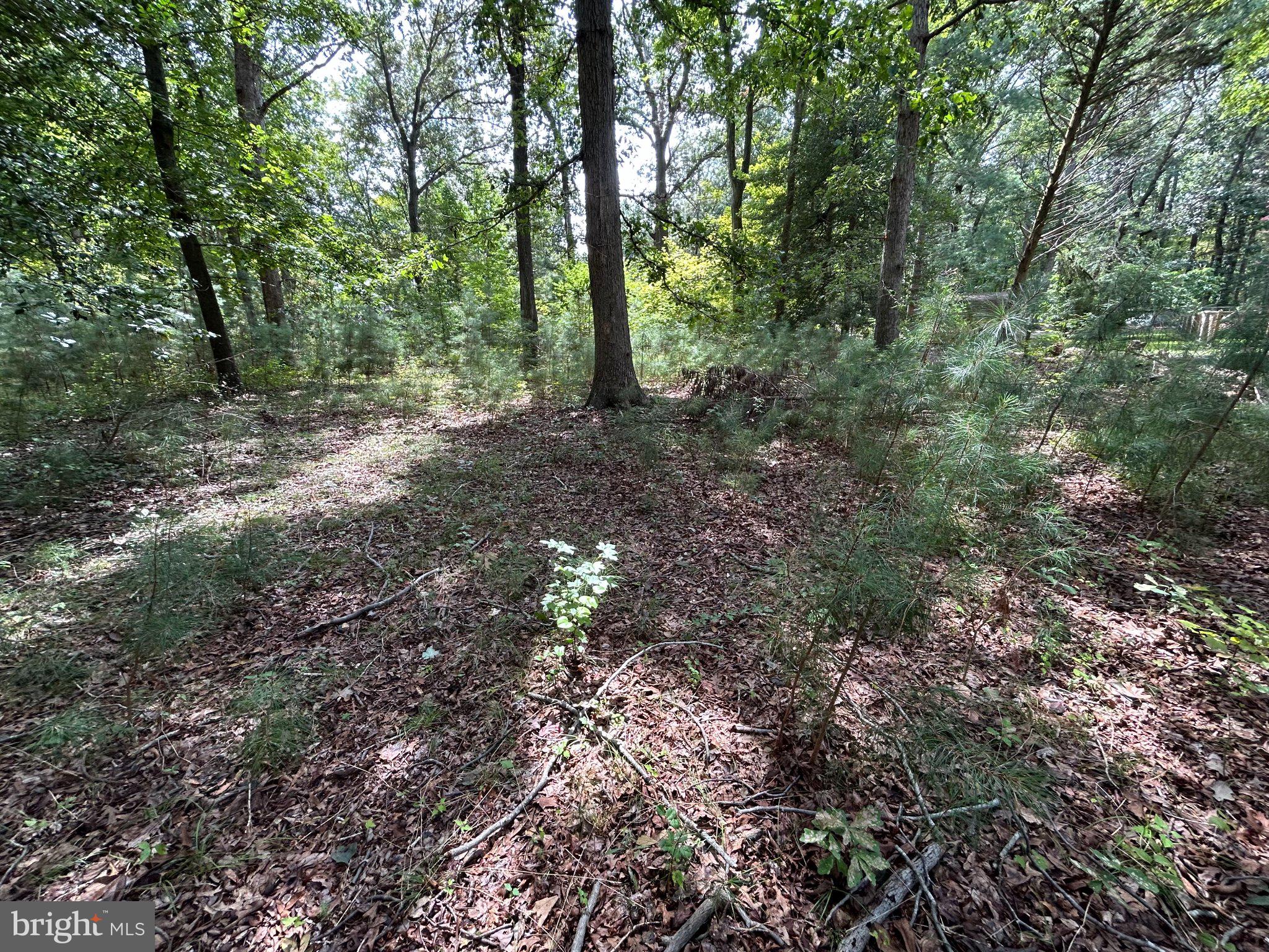 34179 SPLIT RAIL LANE