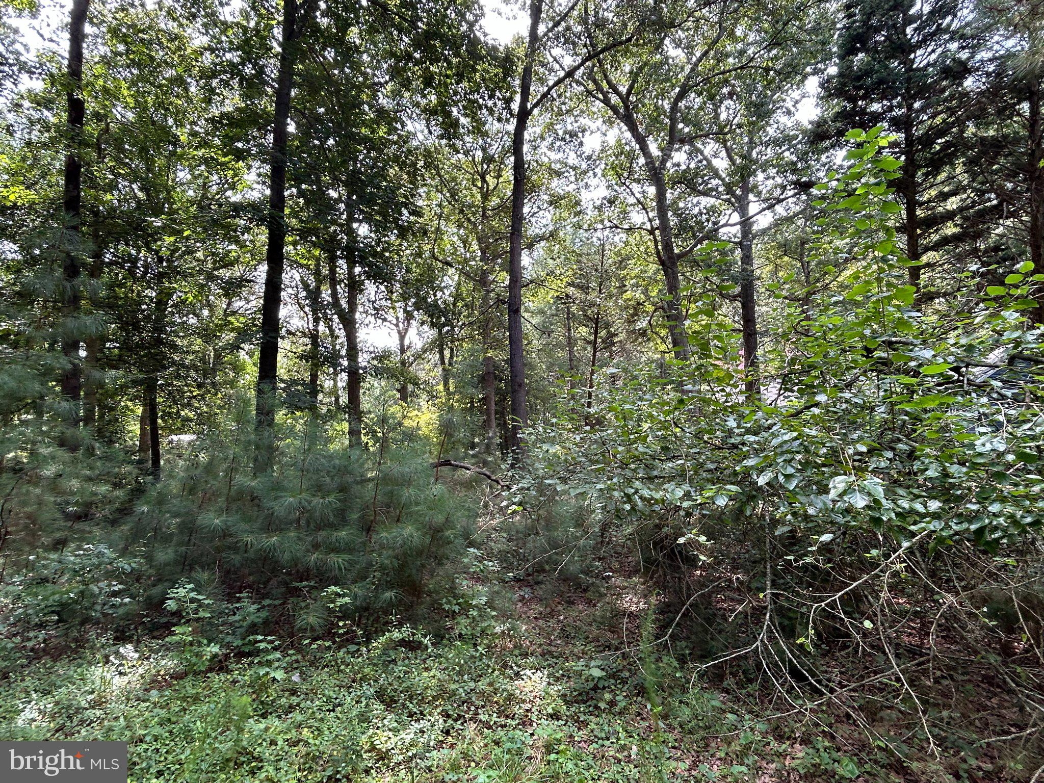 34179 SPLIT RAIL LANE