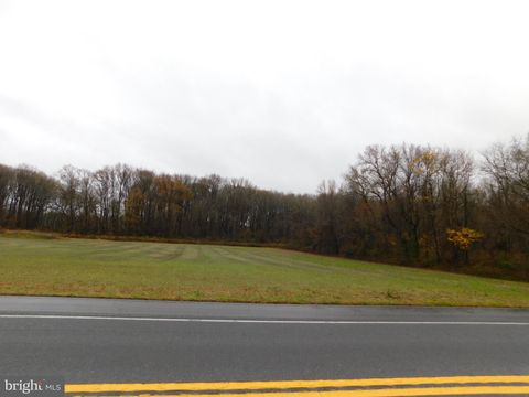 Vacant Land For Sale - Halltown Road<br/> HARTLY, DE 19953