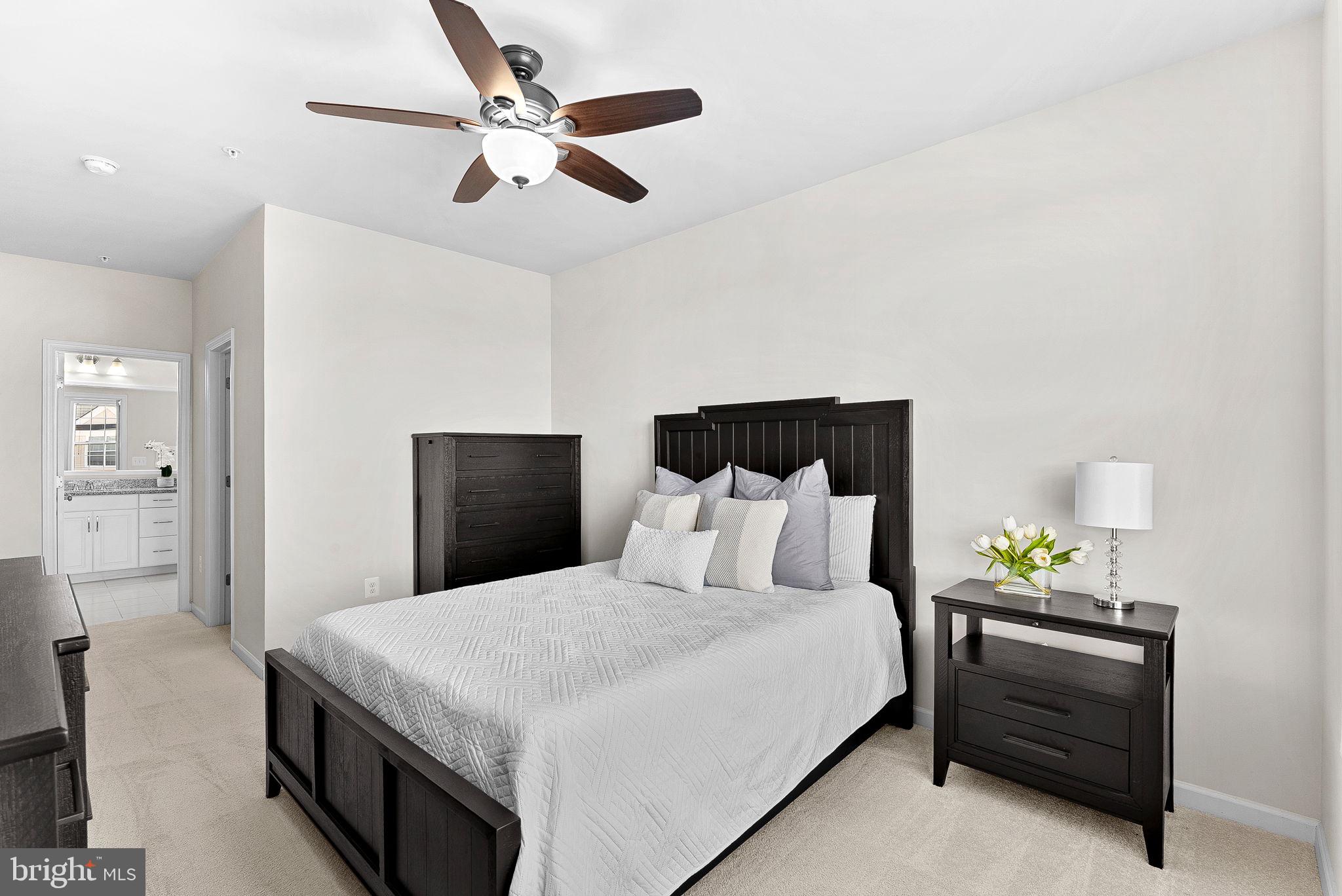 RIDGES AT LOUDOUN VALLEY - Residential