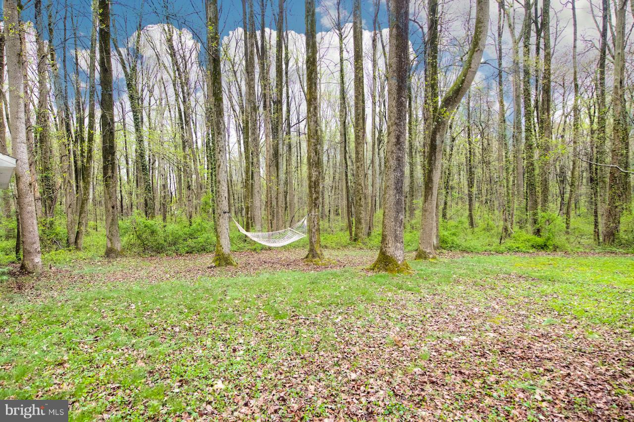 FOREST GREENS - Residential