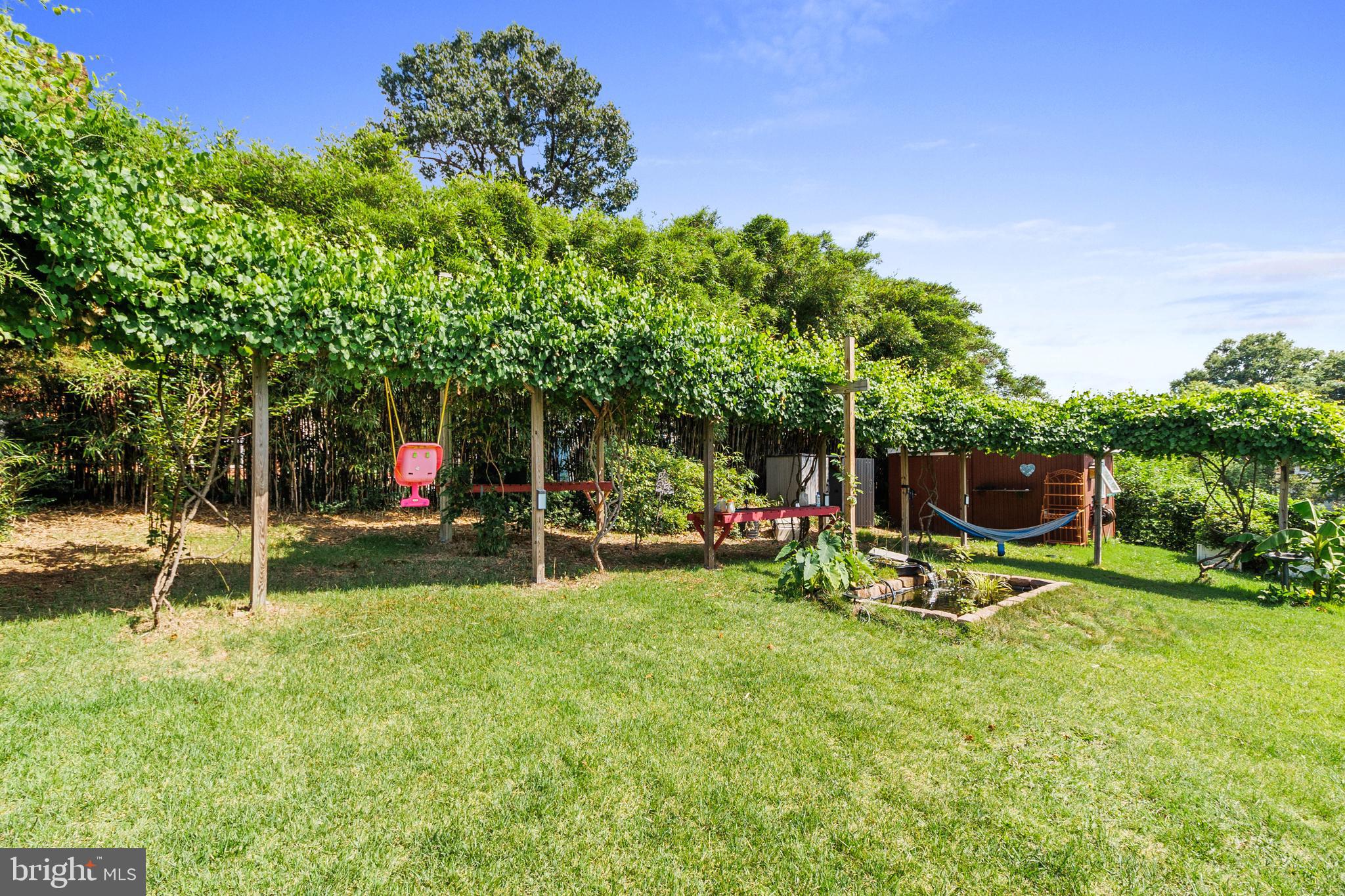 CHESTNUT HILLS - Residential