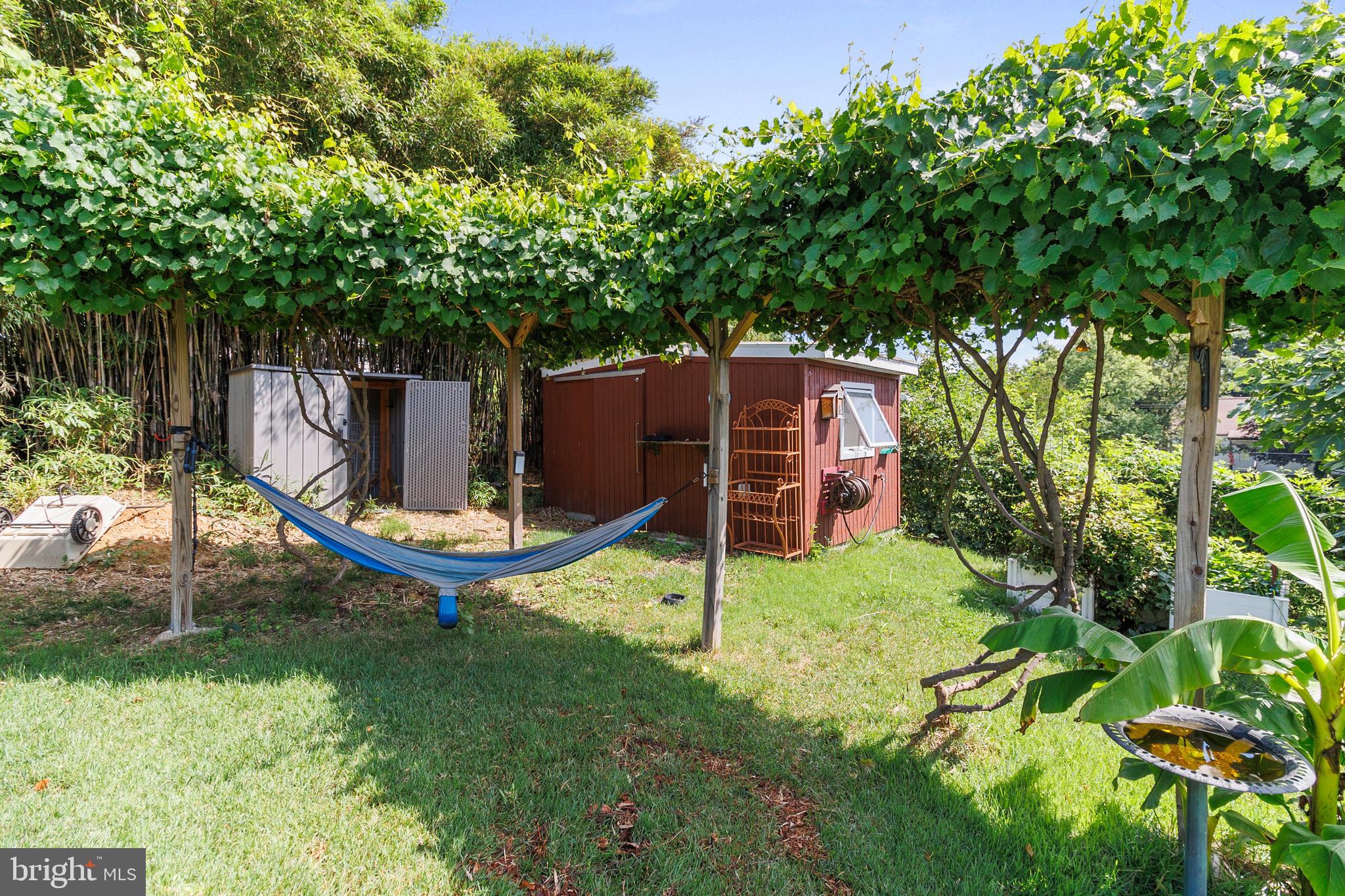 CHESTNUT HILLS - Residential