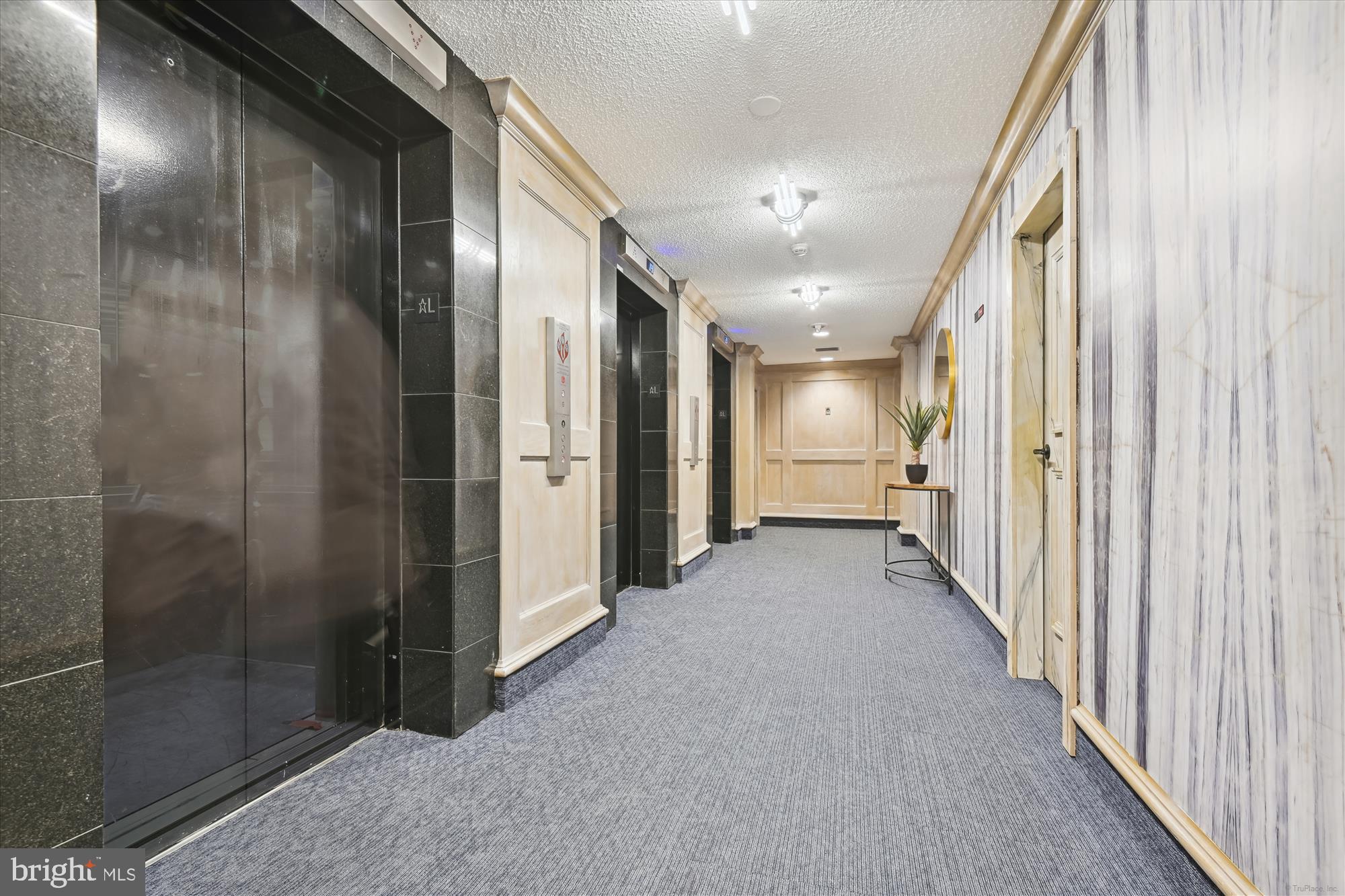 THE RIDGELY - Residential