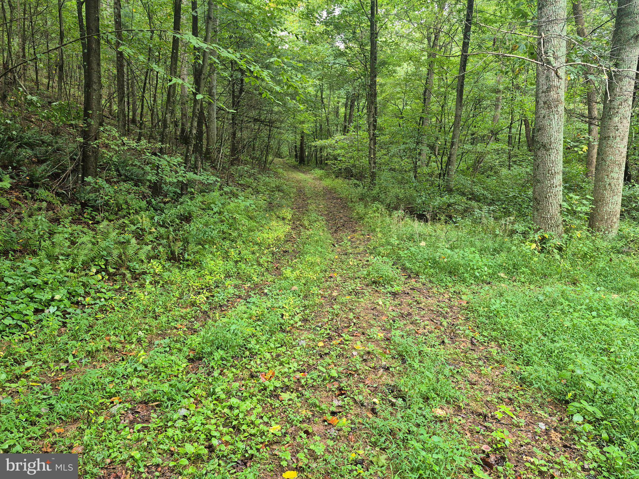0 MOSS ROAD