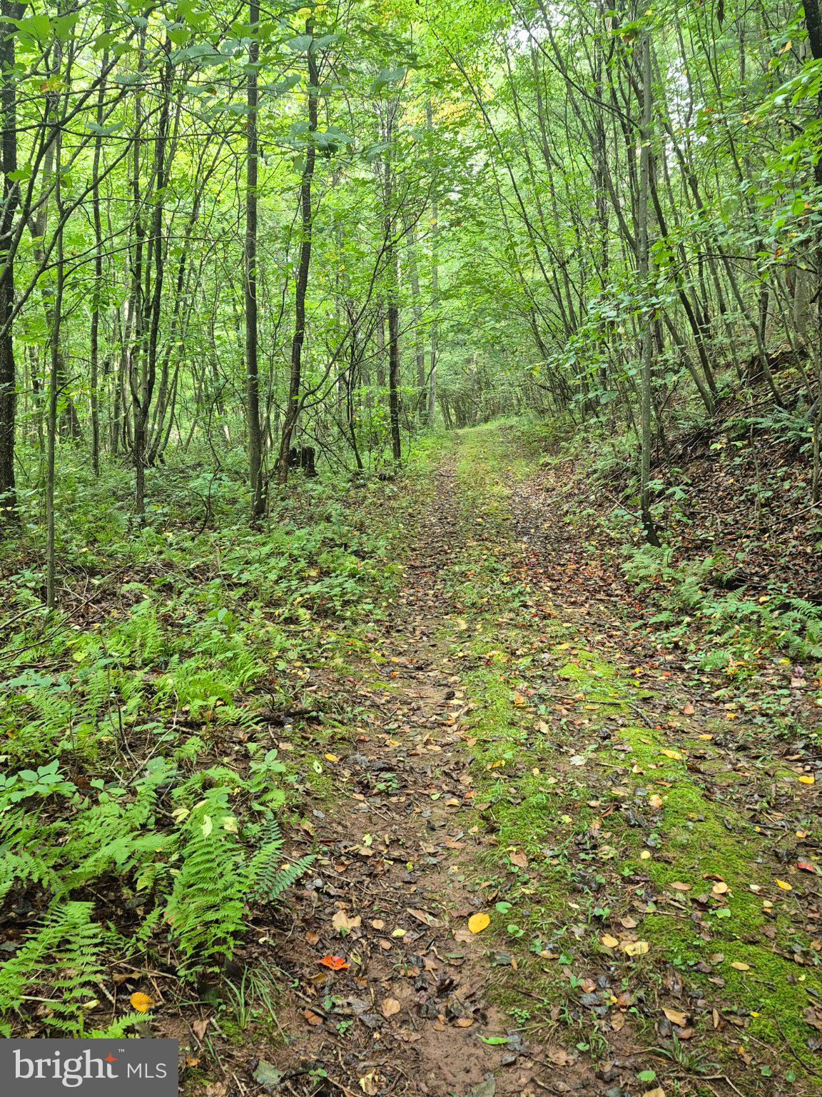 0 MOSS ROAD