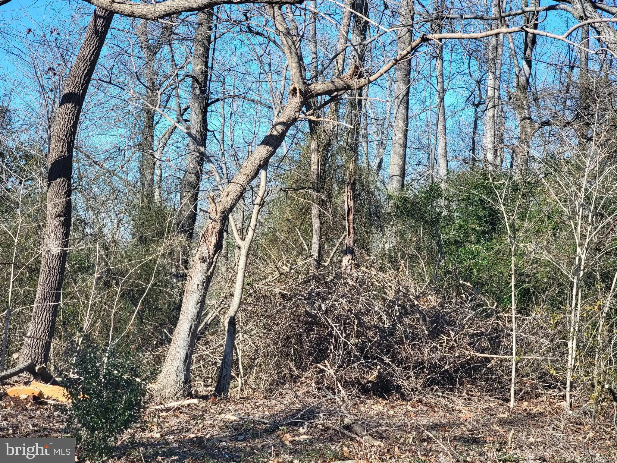 Additional image 24 of 8916 Double Hills Road N, Denton, MD 21629