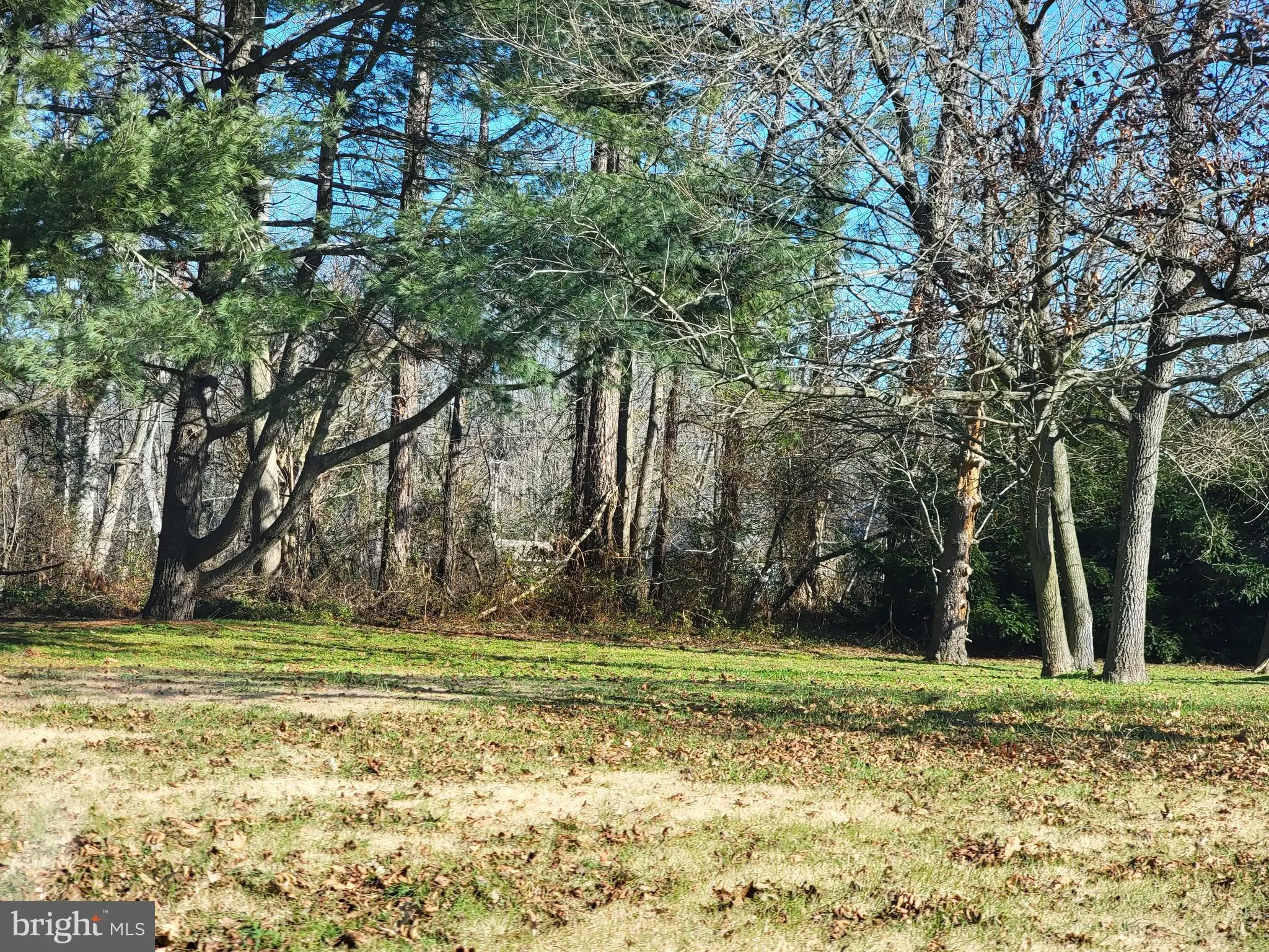 Additional image 25 of 8916 Double Hills Road N, Denton, MD 21629