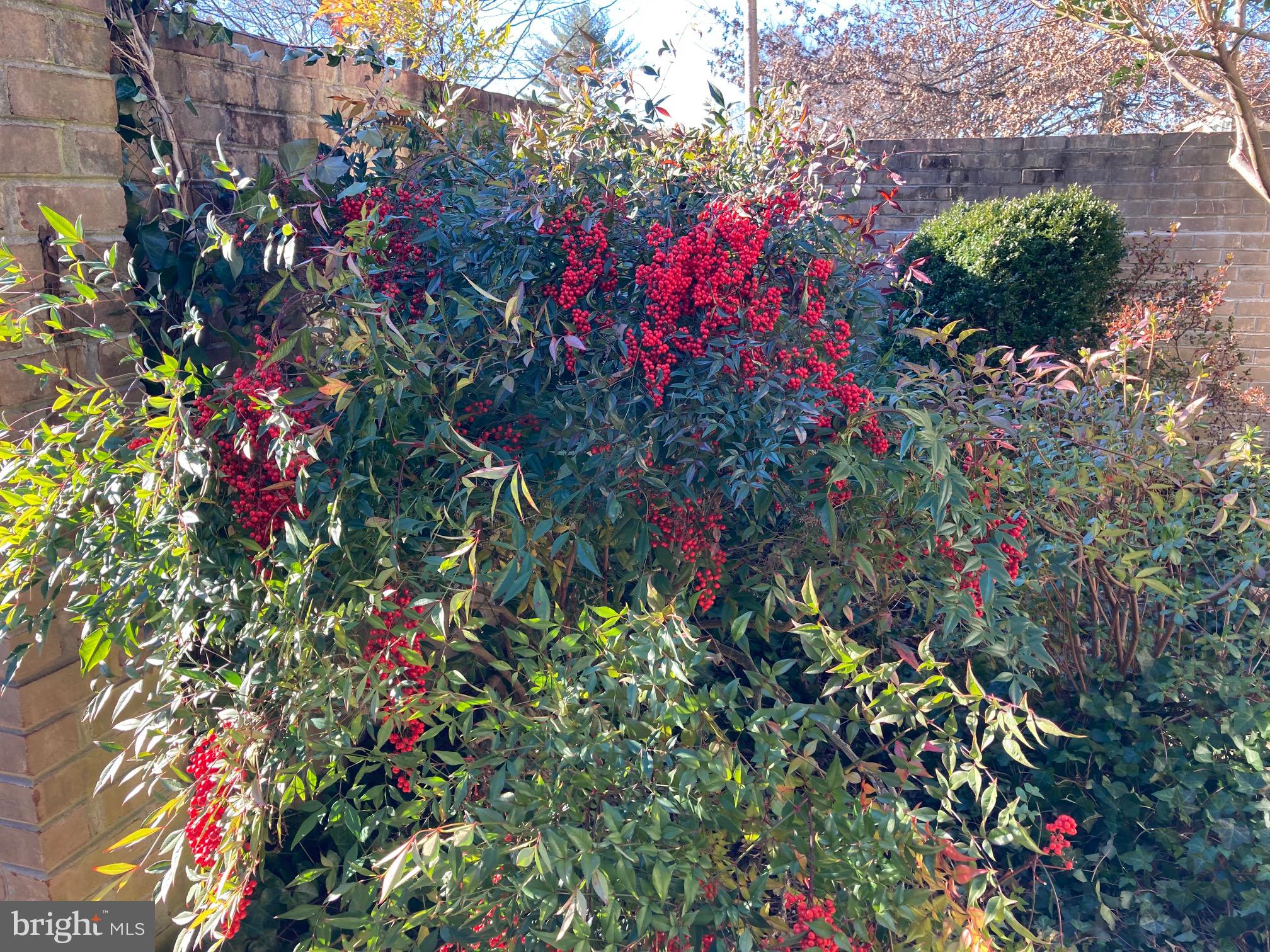 WHETSTONE - Residential