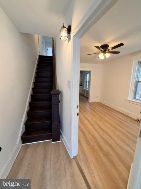 LYNNWOOD - Residential