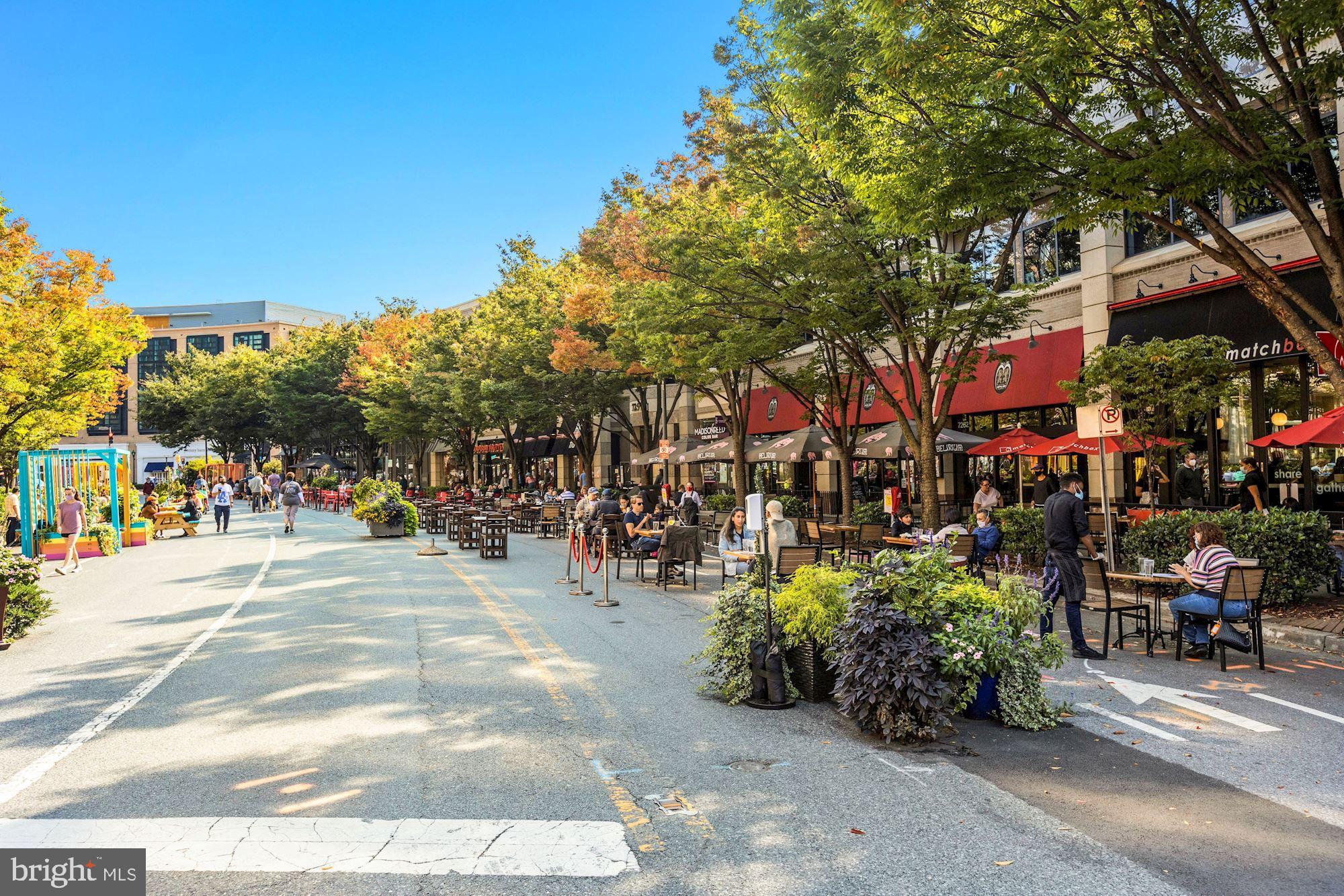 KENWOOD FOREST - Residential