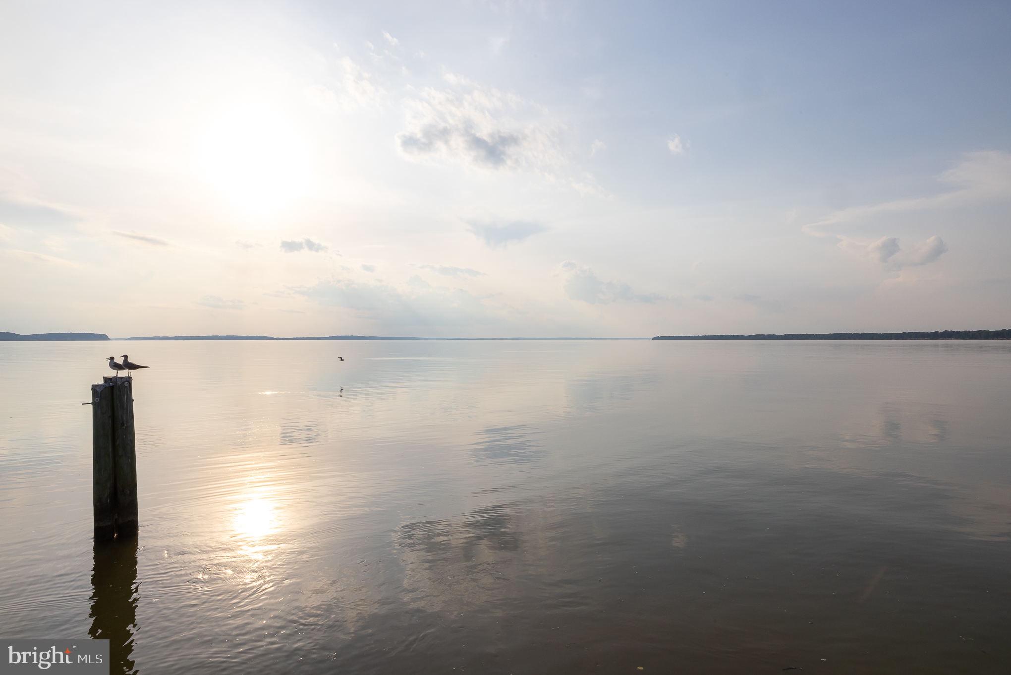 POTOMAC RIVER - Residential