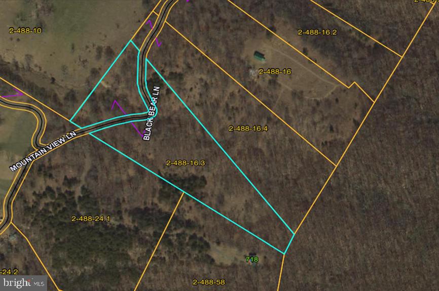 Ready to find your quiet, secluded and gently rolling setting that is bordering the George Washington National Forest? This property is a great place to enjoy hiking, hunting, nature, etc, on the bonus land you can use. Lot is wooded with some areas ready to be opened for your private home site. Mineral rights convey and land is unrestricted. There are good spots for a home site and maybe a rental site. Electric routed to the property. Convenient to Corridor H and within 2-hours of DC and major airports.