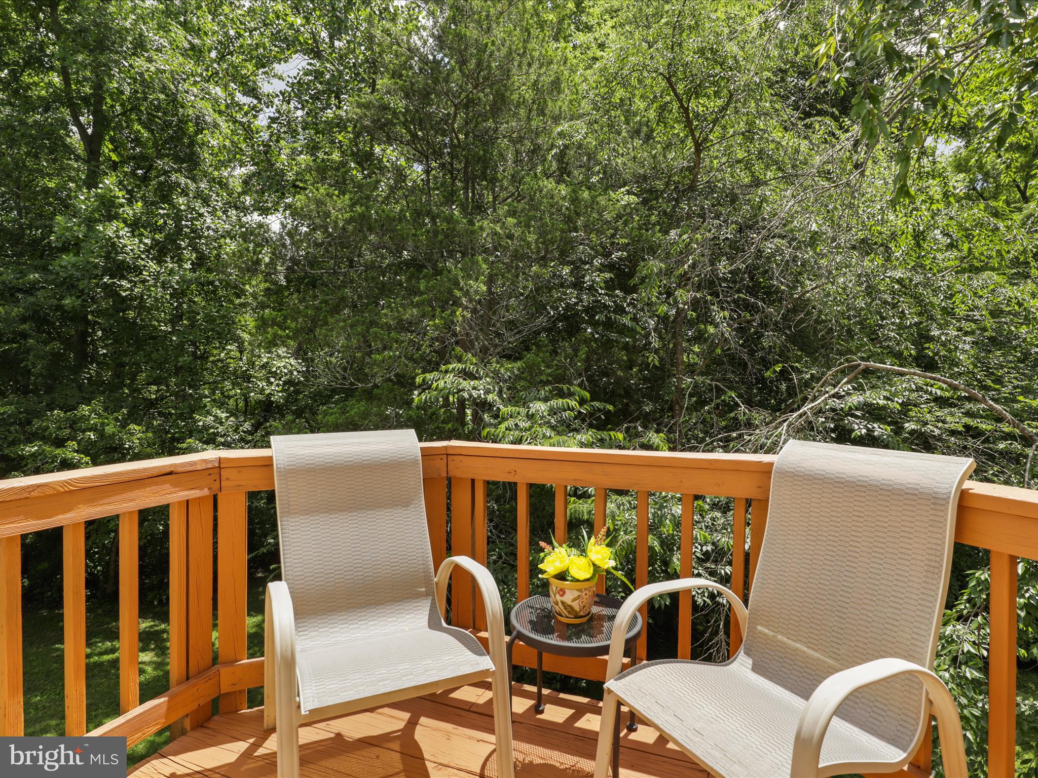 DANBURY FOREST - Residential