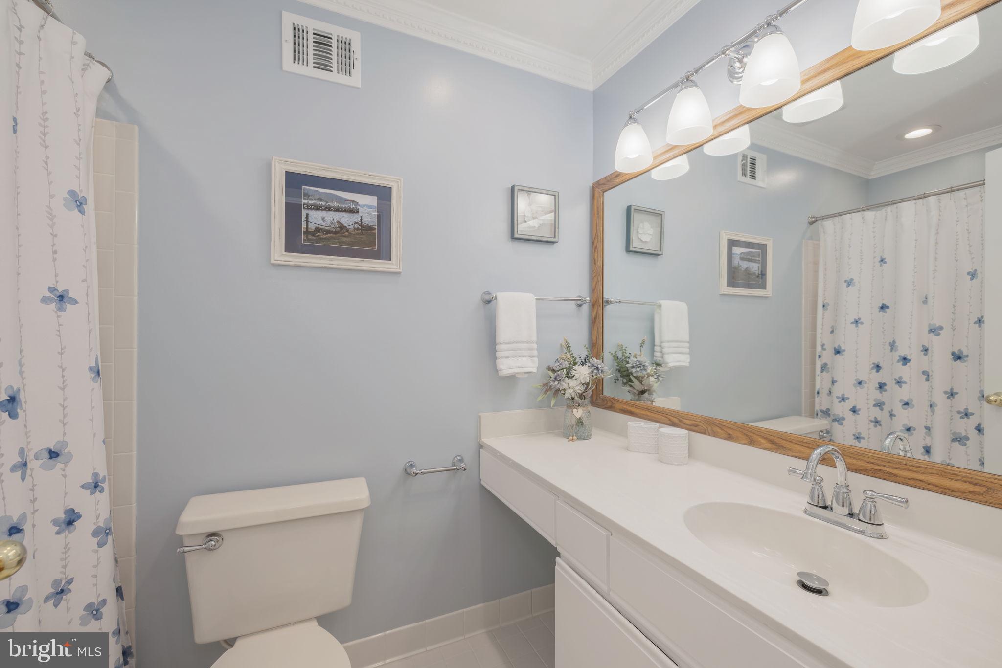 SOMERSET AT SOUTH RUN - Residential