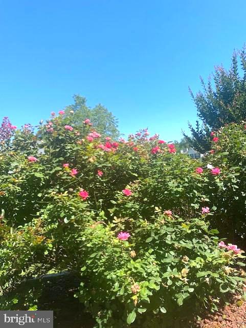 STONE RIVER - Residential